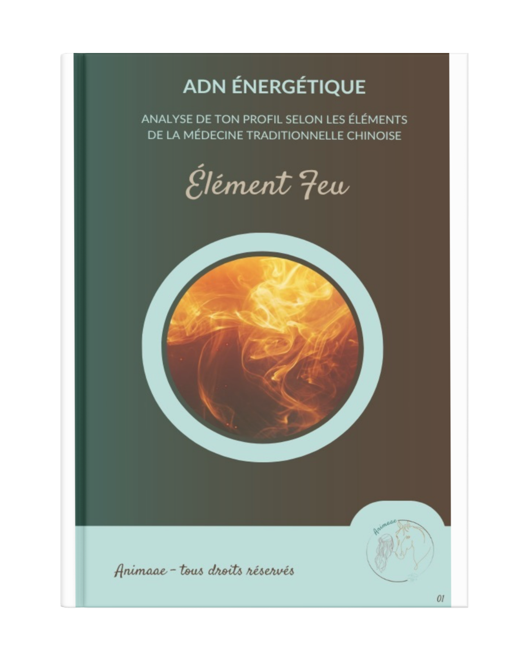 Livret ADN énergétique cheval Feu