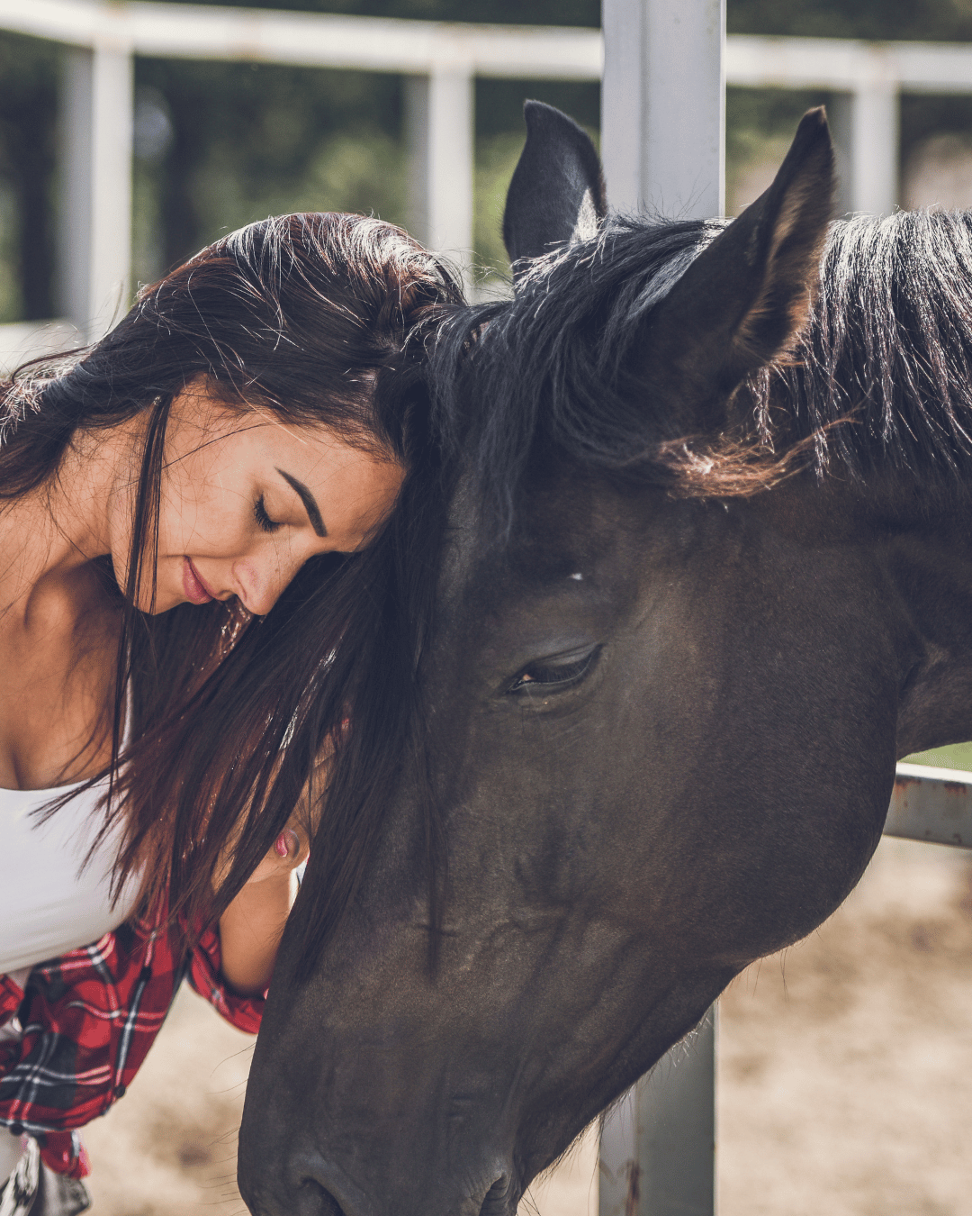 une femme avec son cheval qui arrête d'attendre que sa tête valide ce qu'elle ressent