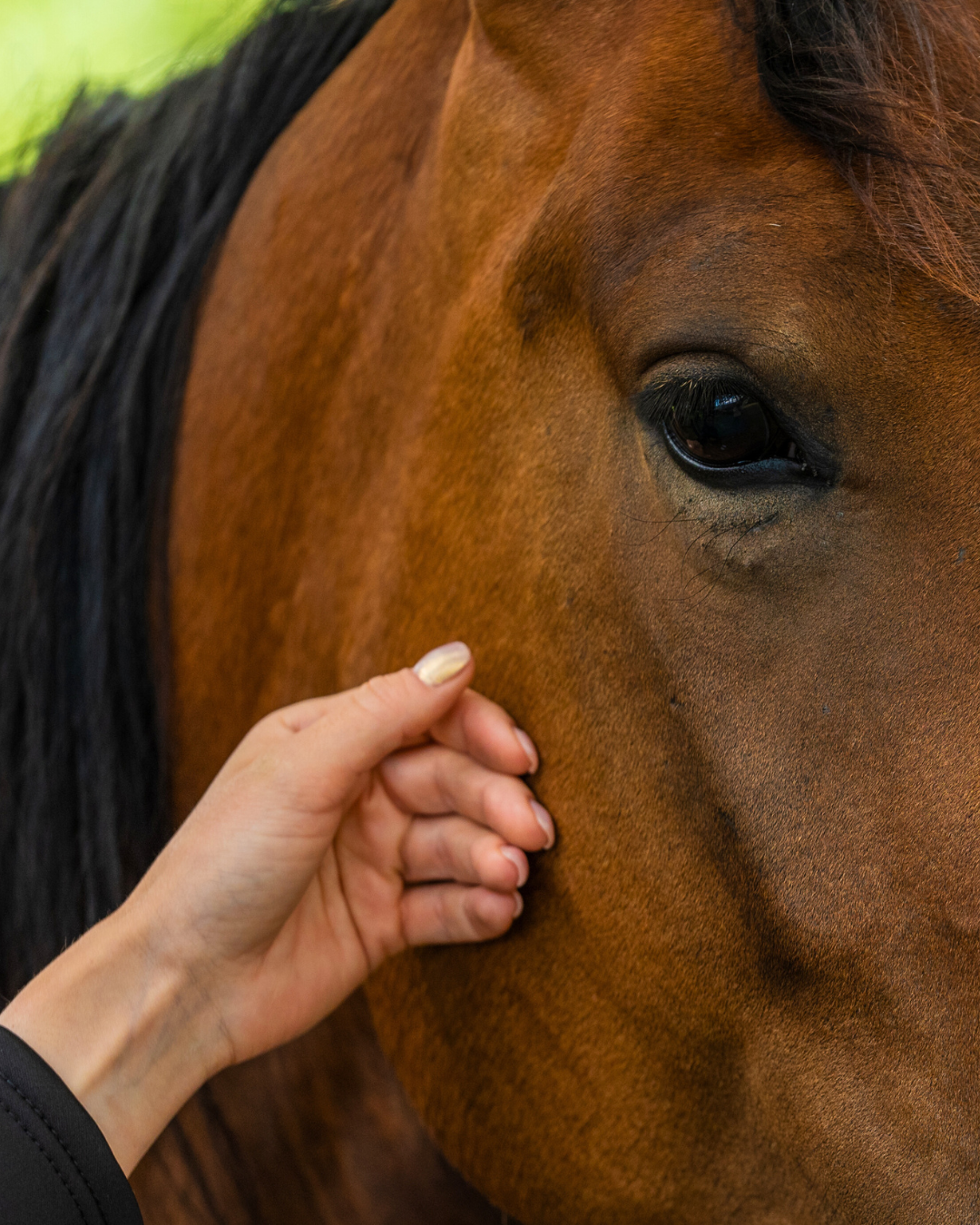 Une femme et son cheval face à une date anniversaire d'un traumatisme