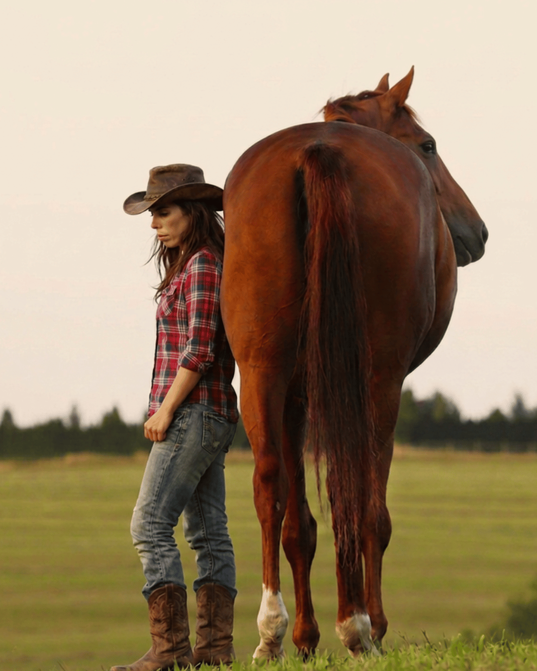 Incompréhension entre une femme et son cheval, communication rompue