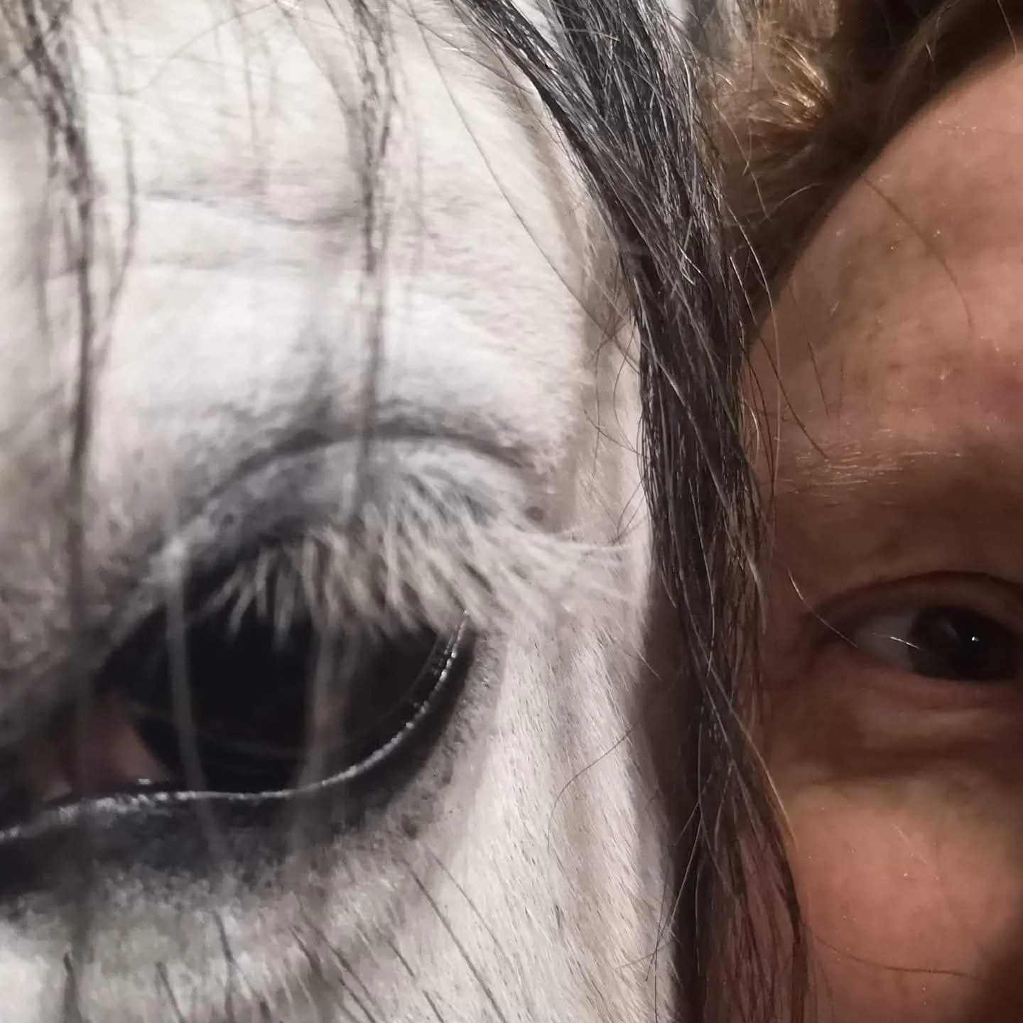 Témoignage isabelle et Valkyrie sur l'accompagnement symbiose