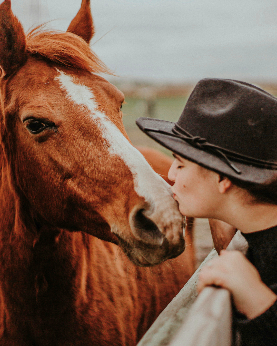 Relation authentique cavalière cheval cinq éléments