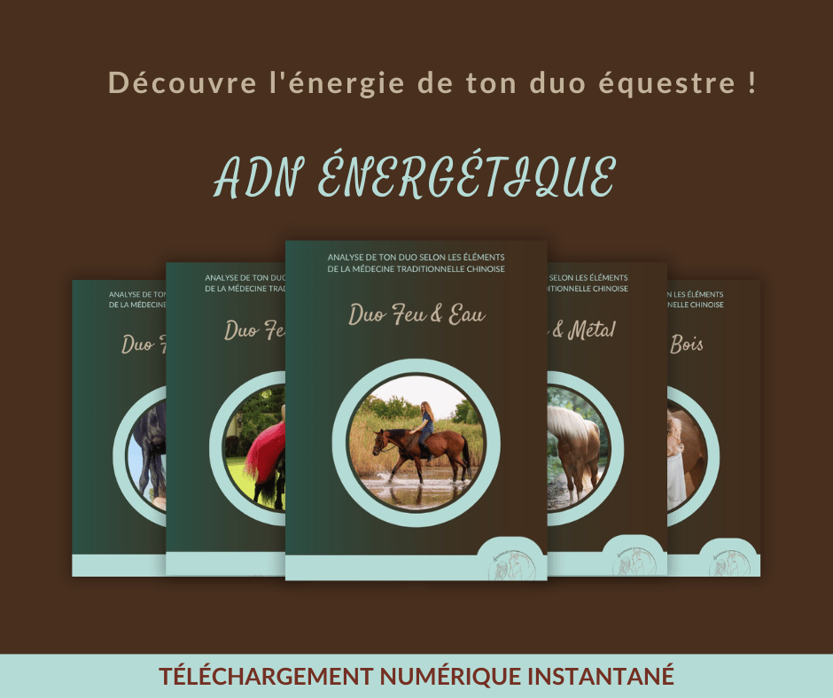 ADN énergétique livret FEU