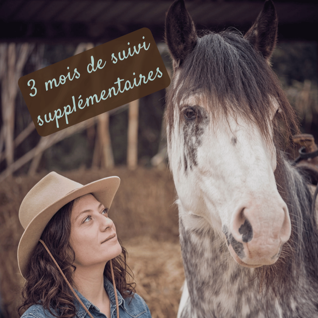 Bonus 3 mois de suivi supplémentaires offerts