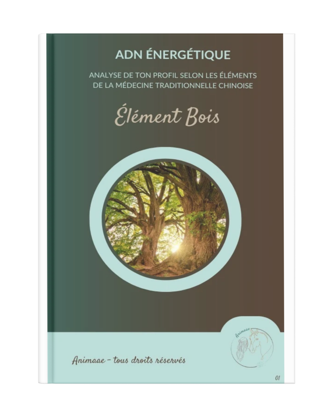 Livret ADN énergétique Femme Bois