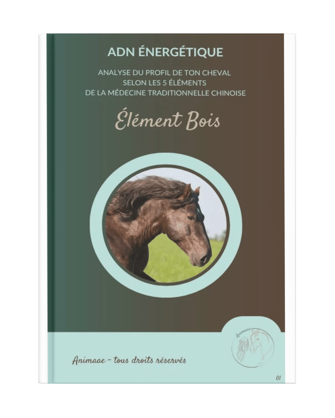 Livret ADN énergétique cheval Bois