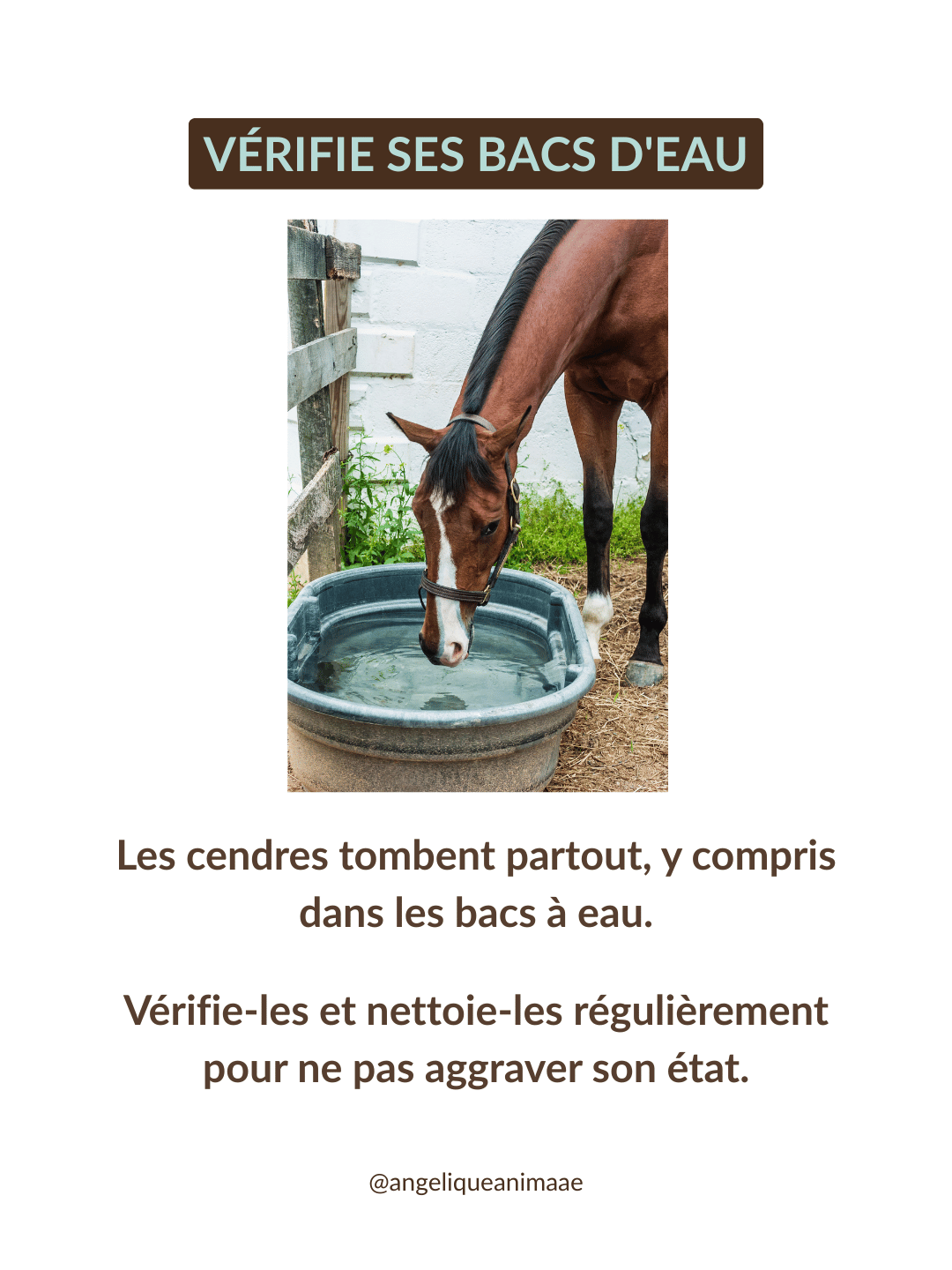 Attention au bac à eau chez ton cheval en cas de particule et de cendre lié à un incendie
