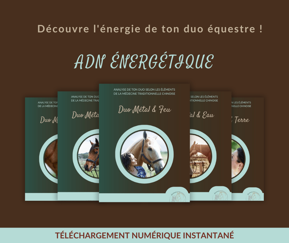 ADN énergétique livret métal