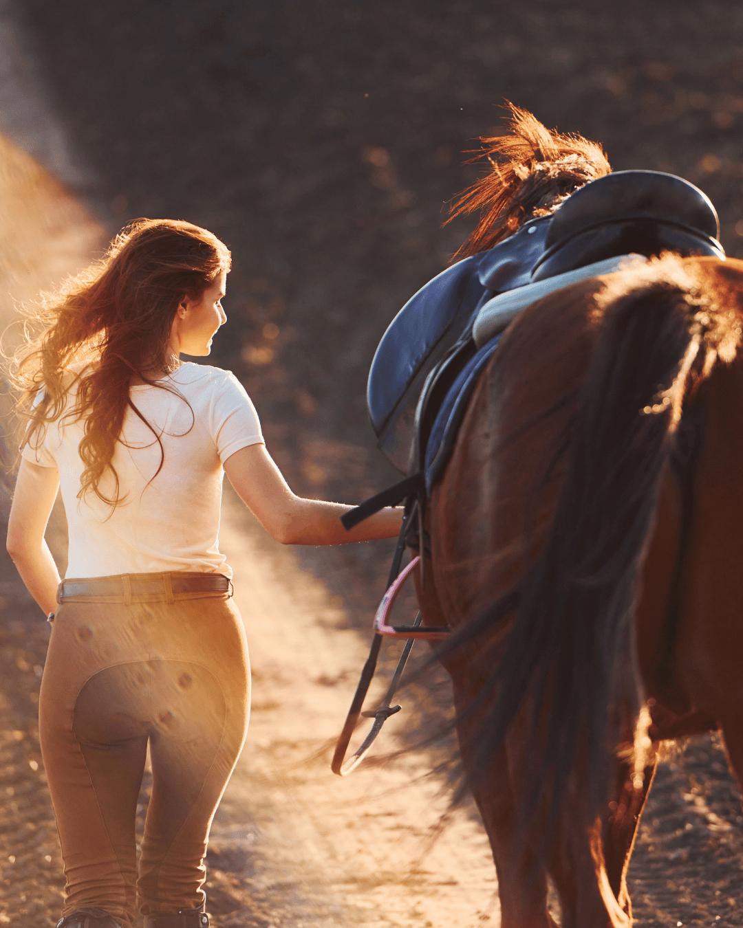 Ton cheval t’apprend à dire non, et ça peut tout changer dans ta vie