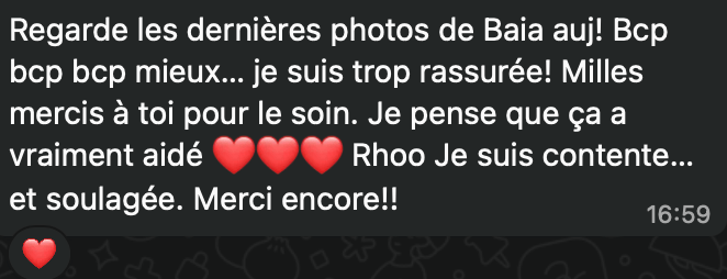 Extraits de témoignages écrits de femmes ayant retrouvé confiance, apaisement et une relation de rêve avec leurs chevaux