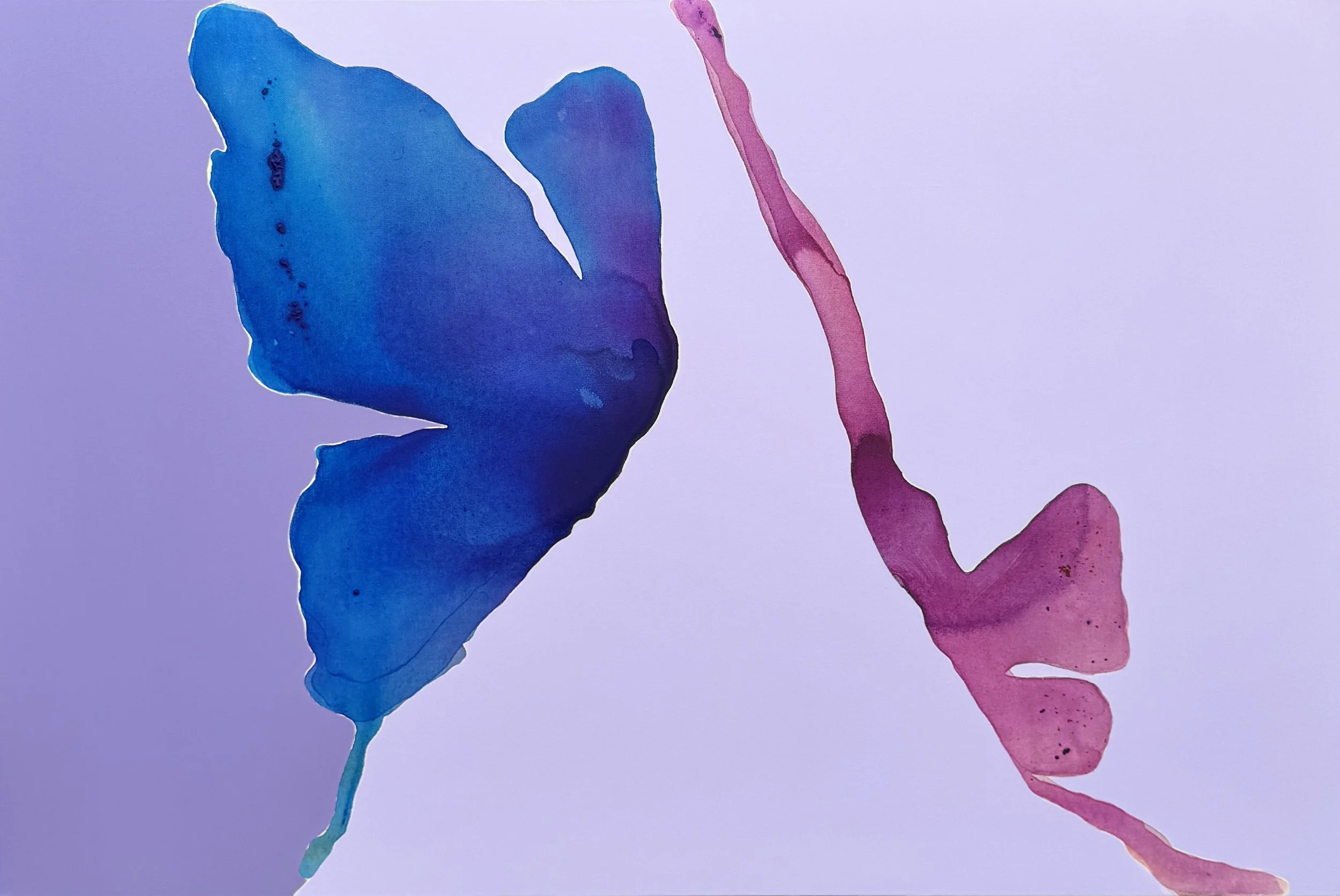 80x120cm