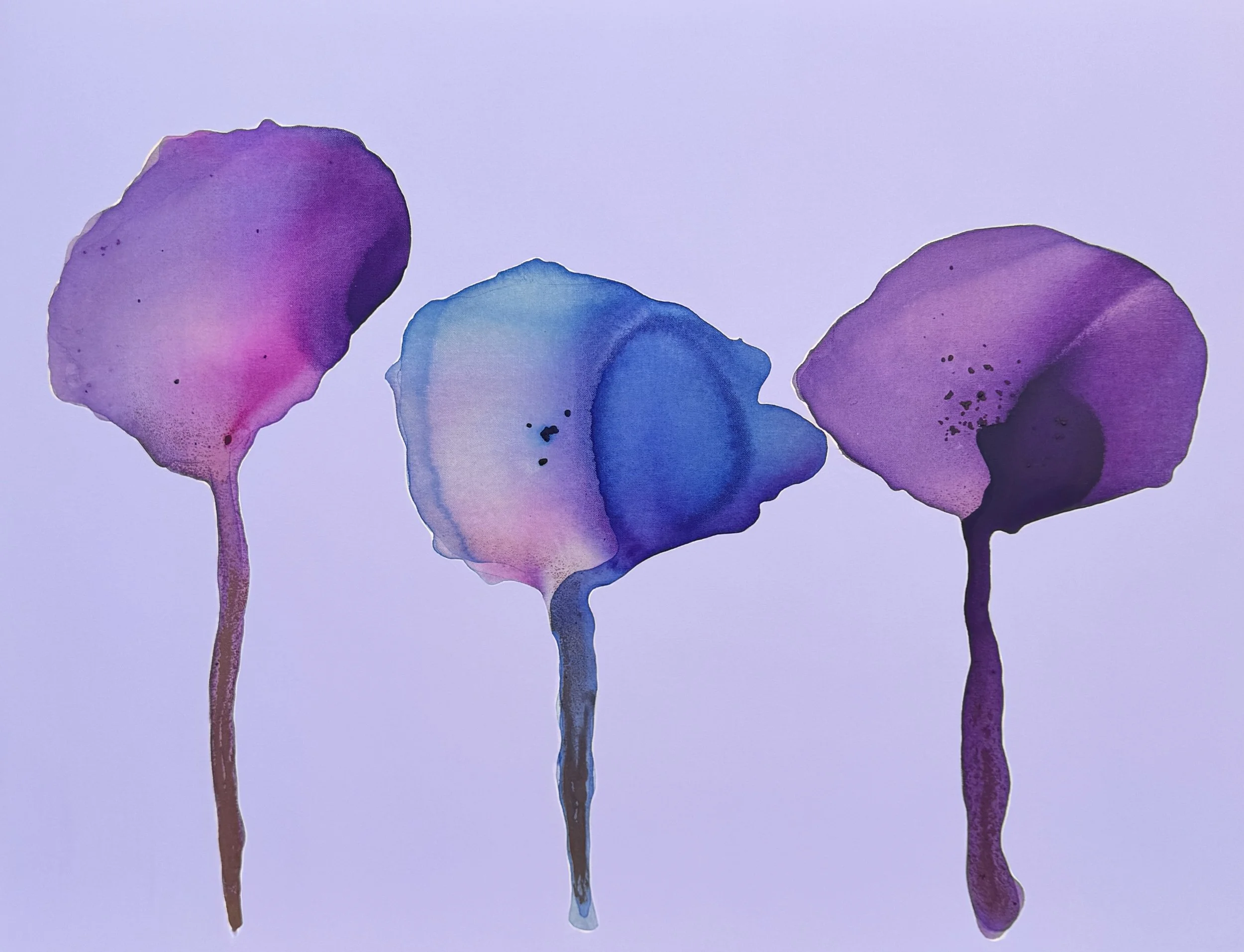 90x120cm