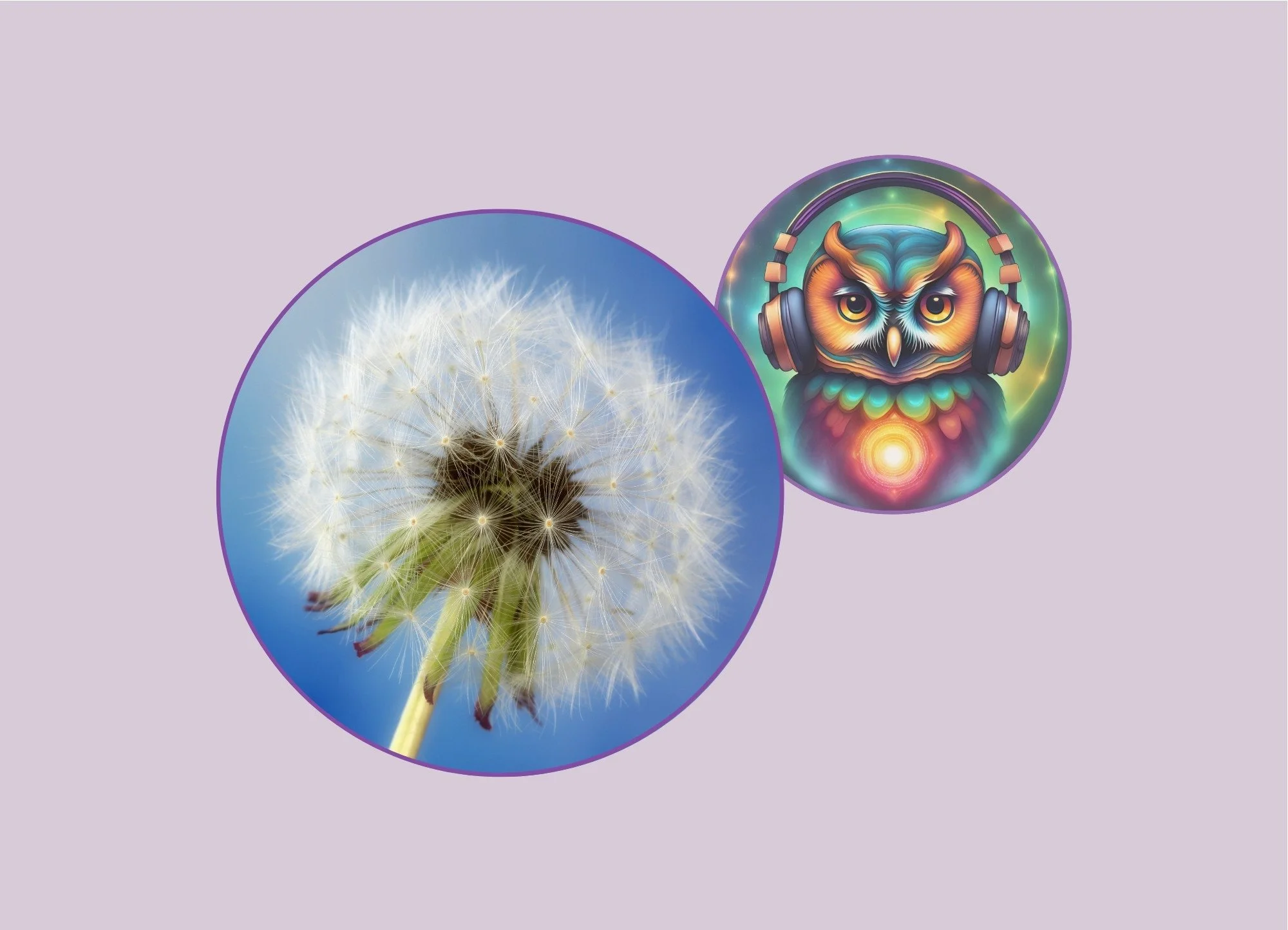 🎶 Bien-être printanier : Playlist Harmoni’Saison de Léti