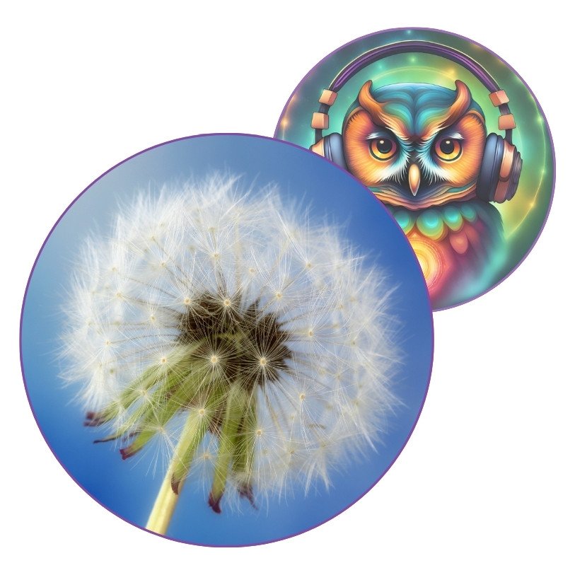 🎶 “Le printemps en éclosion” — Clé d’une pause Créativi’Thé