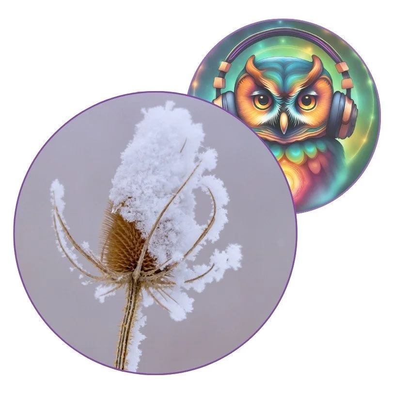 🎶 “L’hiver en douceur” — Clé d’une pause Créativi’Thé