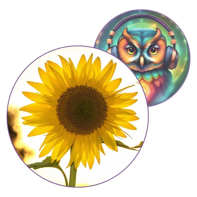 🎶 “L’été en lumière” — Clé d’une pause Créativi’Thé