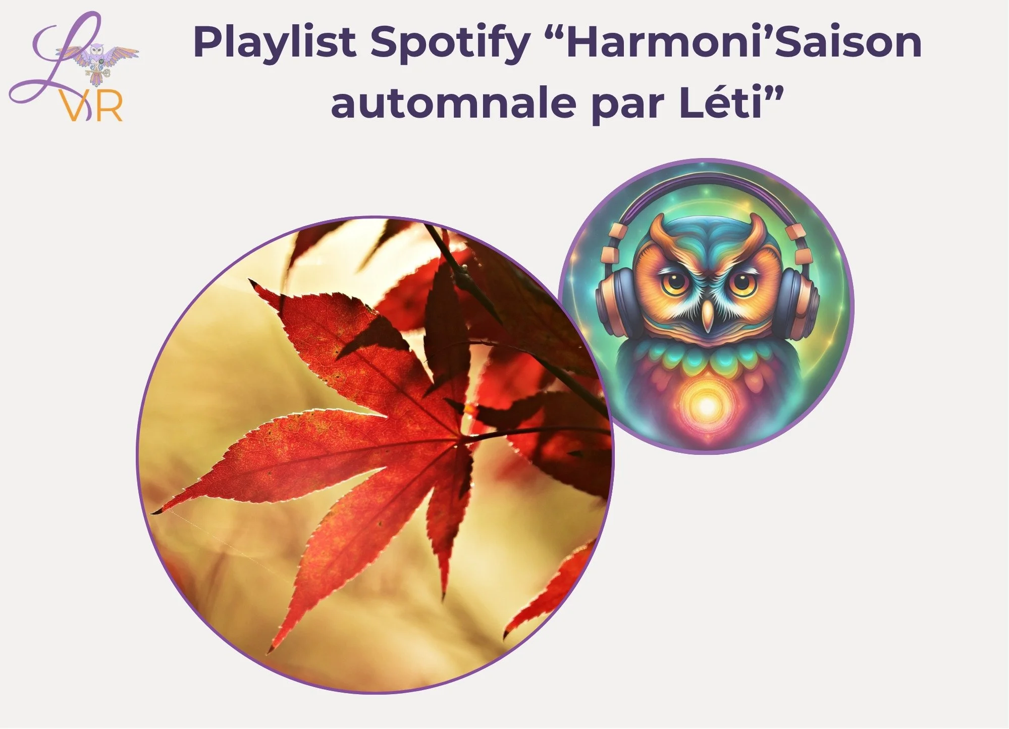 Ambiance automnale douce et chaleureuse – playlist bien-être Léti'Quête