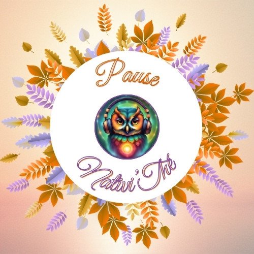 🎶 Pause Nativi’Thé — Clé d’une lumineuse fin d’année