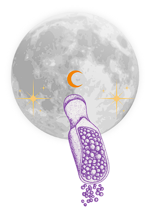 Illustration de la Lune des Semences, pause Voie Lac’Thé de Léti’Quête en avril 2026