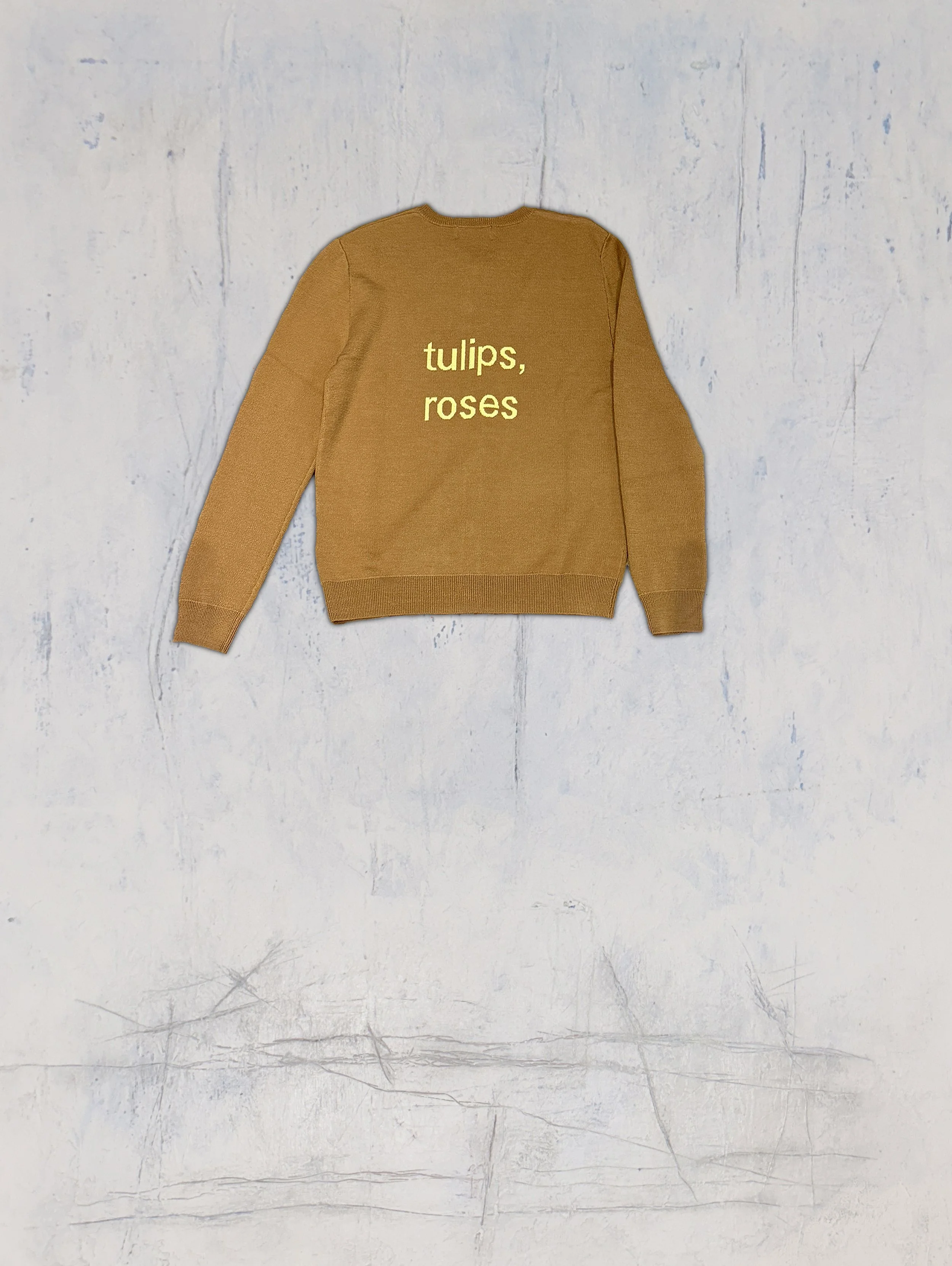 Brown Cardigan B.jpg