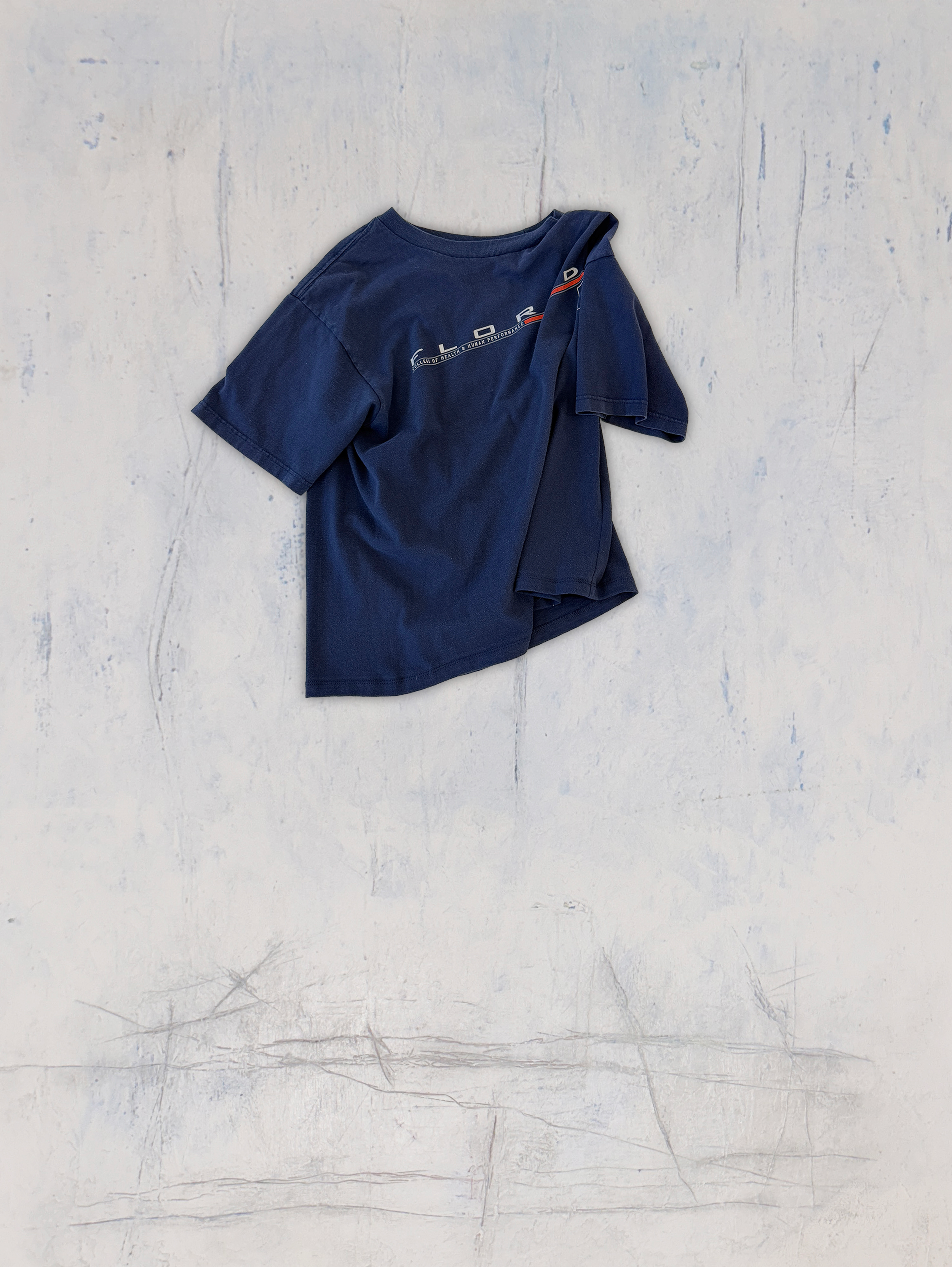 florida tshirt FRONT_.png