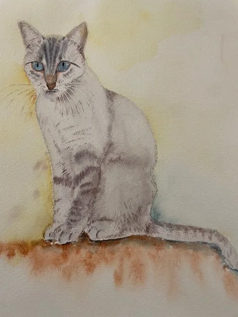 Mouss le chat, aquarelle