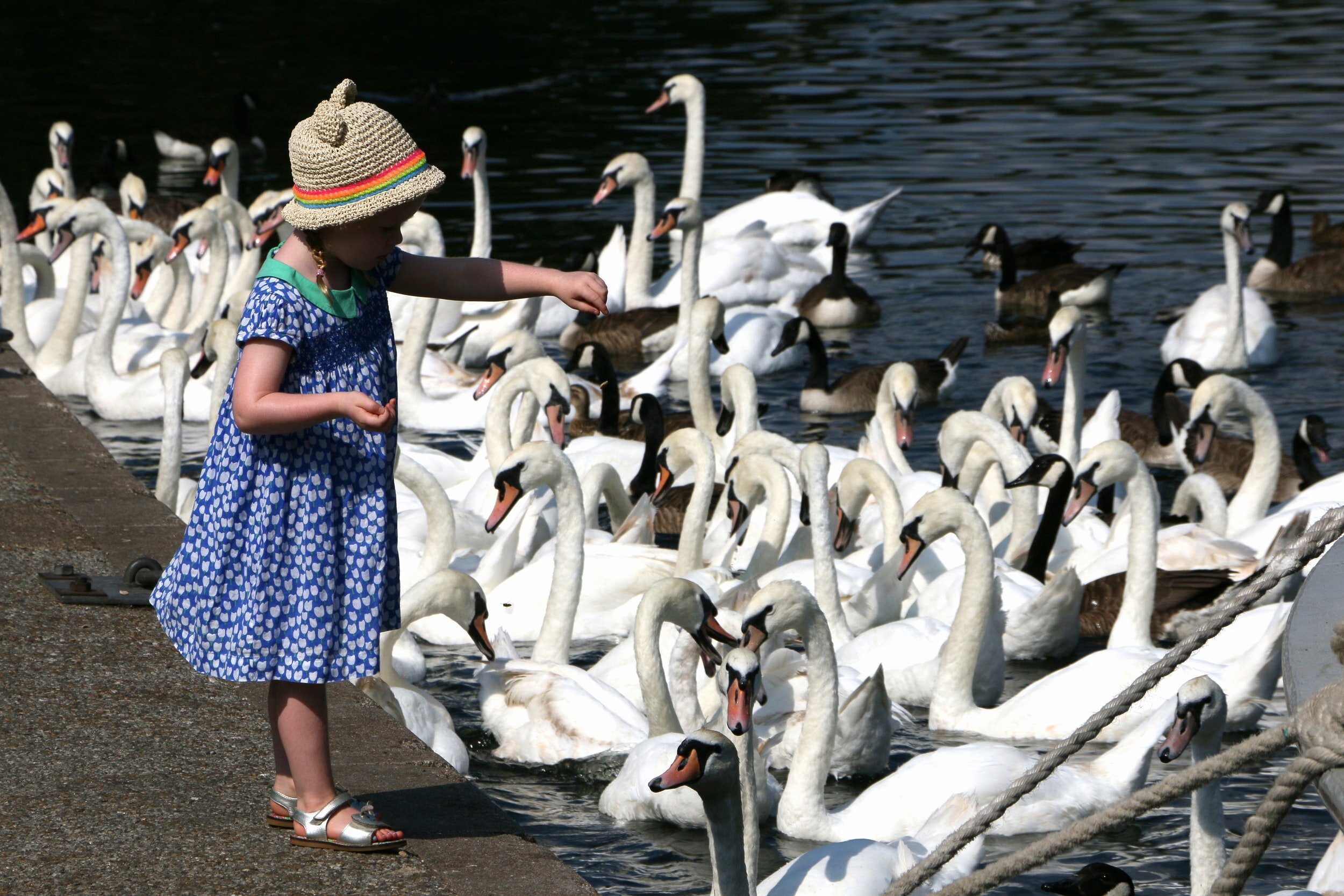 Windsor Lakes