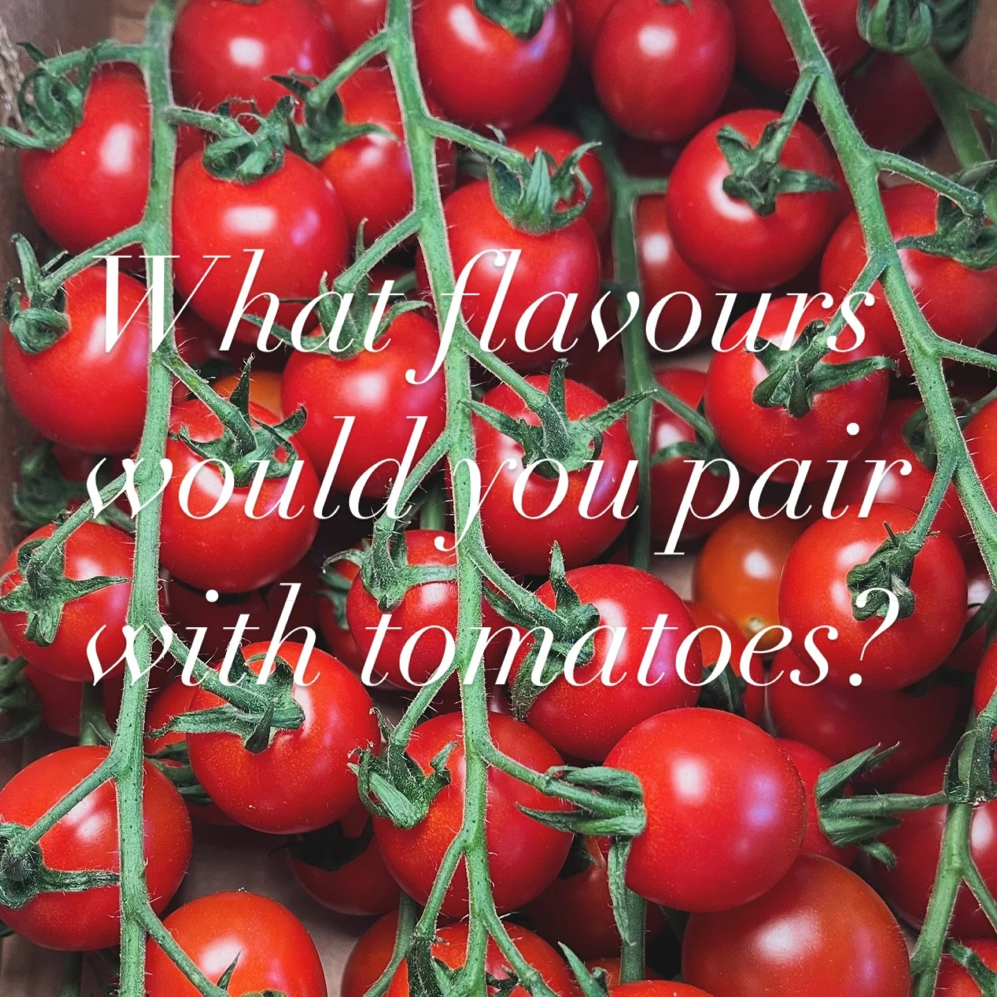 Tomato pairing inspiration!

Ripe, fresh off the vine British tomatoes are magic &mdash; sweet, bright and savoury all at once, and every variety brings its own personality to the plate. Perfect sliced on their own, they also lift a dish with depth a