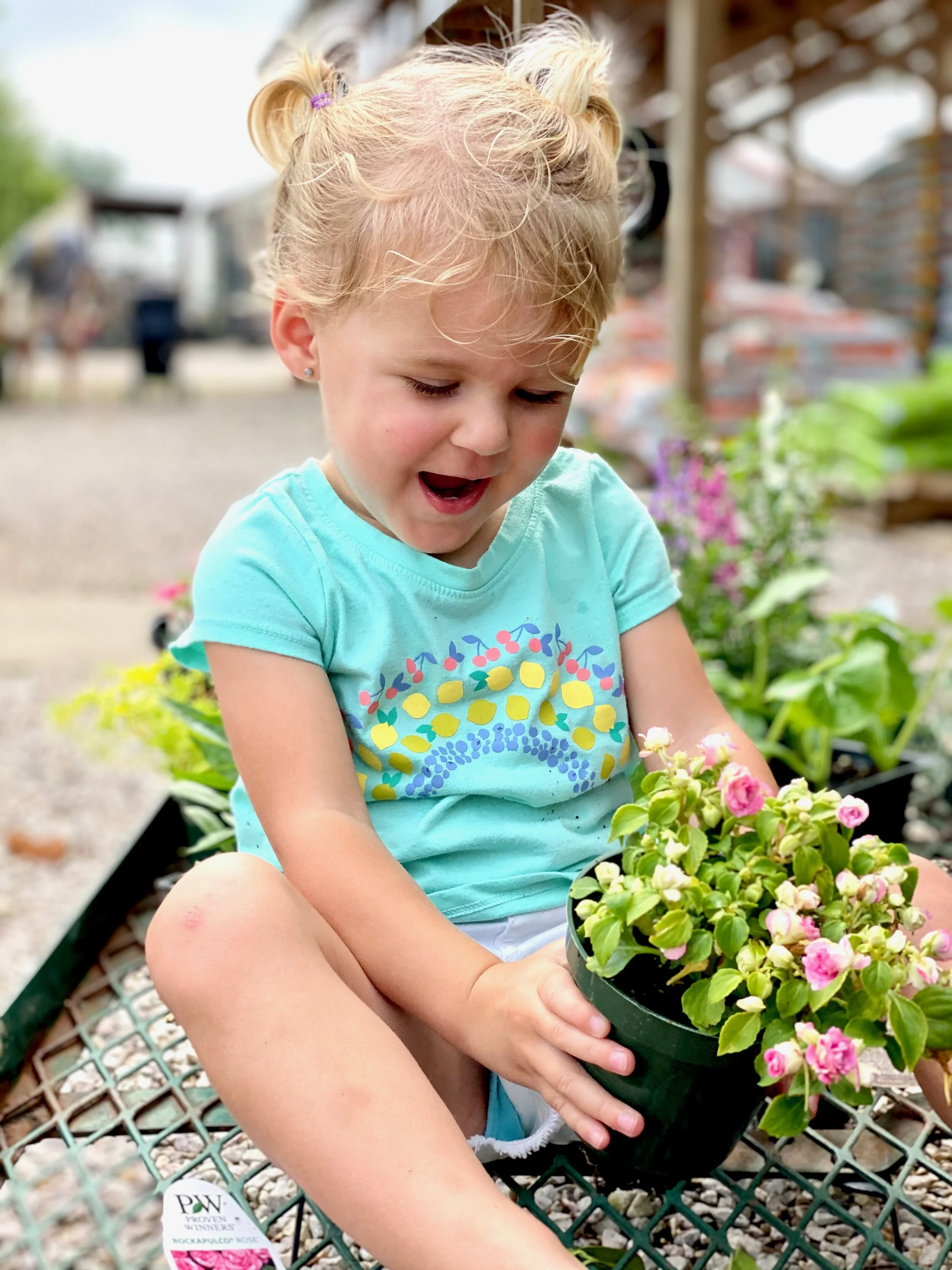We spent a morning at the nursery and I think each visit gets better and better. We picked out more trees and some pretty flowers:) We told Landry to pick ONE and she could bring it home and plant it and water it herself. Well after plucking one single flower off of a plant and handing it to me, we got a little more specific. haha!