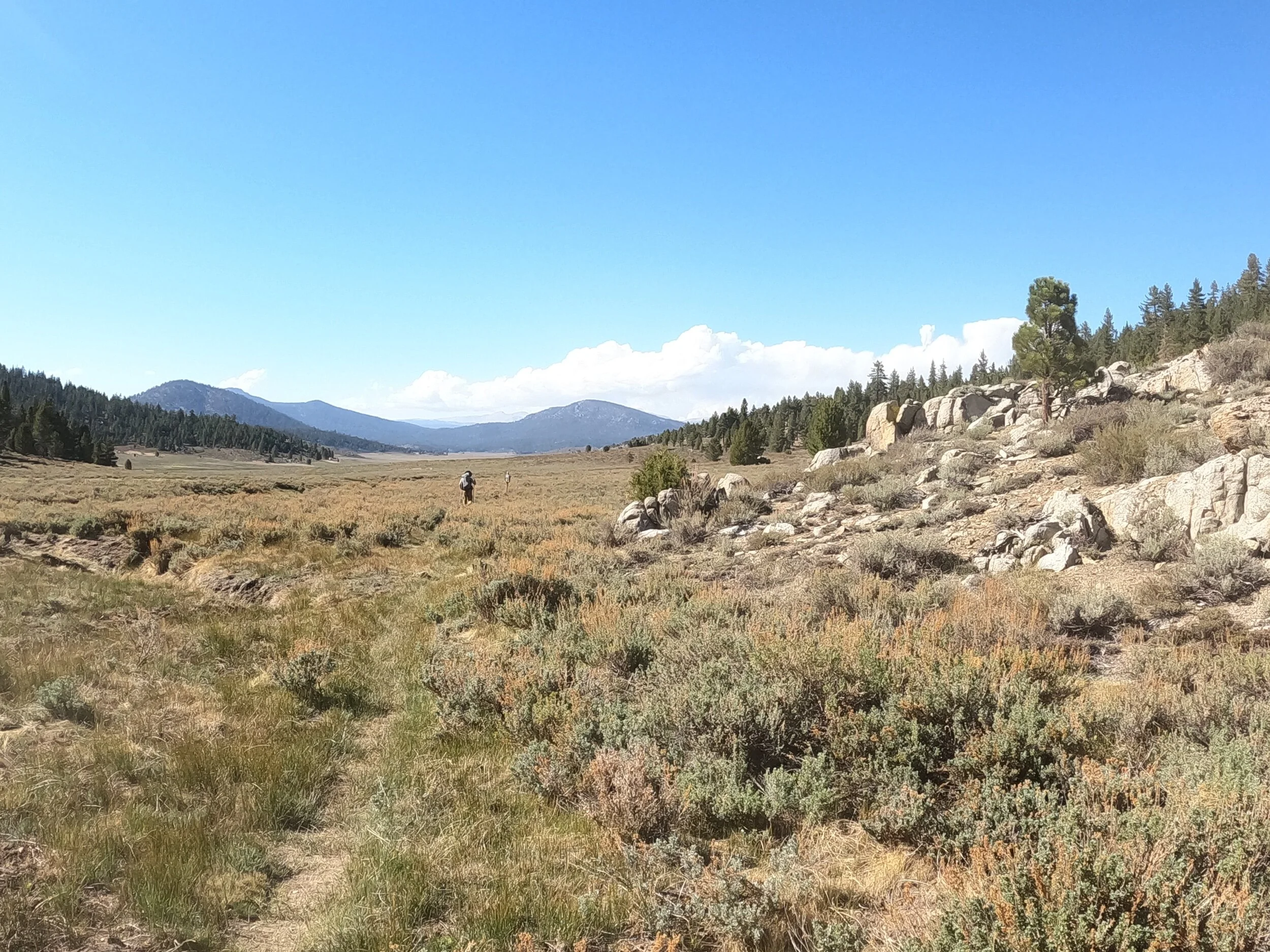 The next day I only did 14 miles to avoid some incoming weather. I was in my tent by 1:00, and apparently a group of people behind me got caught on in some real nasty thunder. On day 3 it was time to get back on track with a 20 mile day. The views were nice all day, and I wanted to finish and camp at Chicken Spring Lake, the first lake of the Sierra.