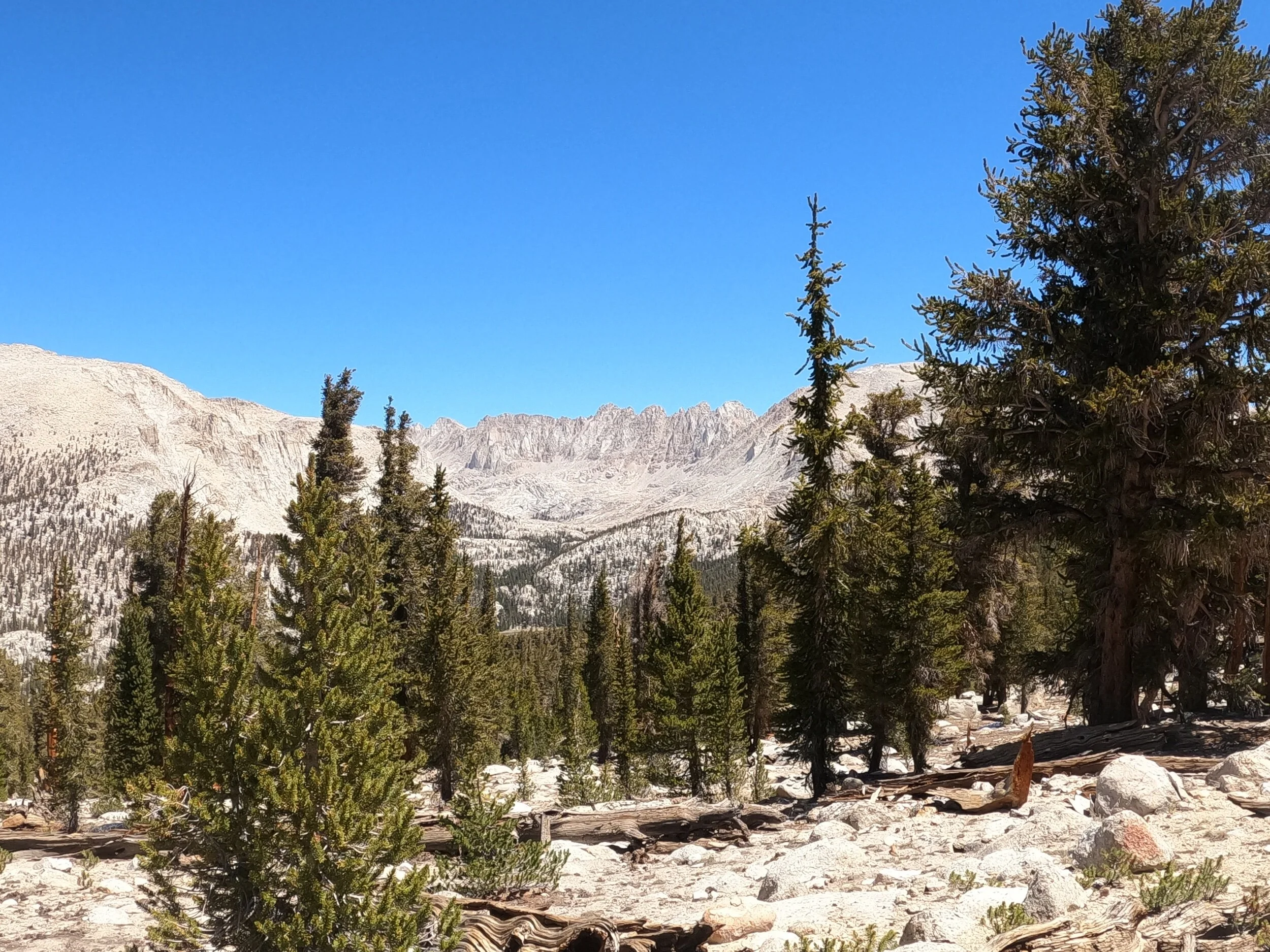 My plan for the next day was to do a day hike up Mount Whitney, the highest point in the lower 48 states at 14,505 feet. About a mile from the bottom, views of the mountain opened up and they were certainly intimidating.