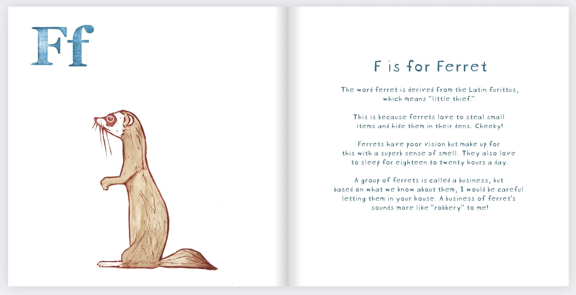 Ferret Book Form for Portfolio 2023.jpg