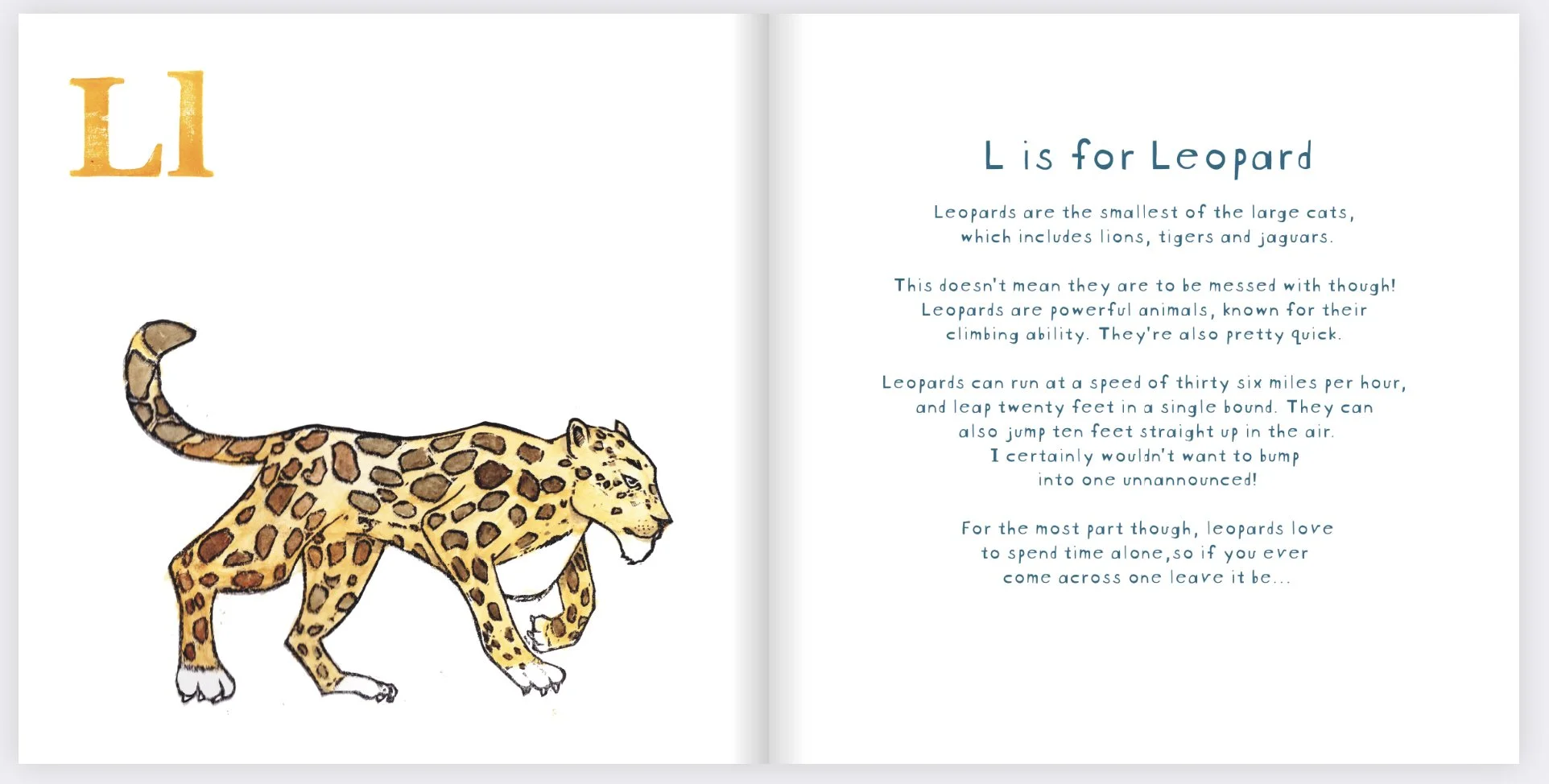 Leapord Book Form for Portfolio 2023.jpg