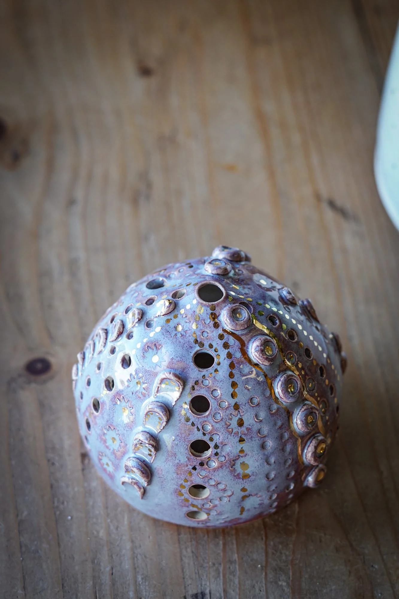 urchin purple-5.JPG