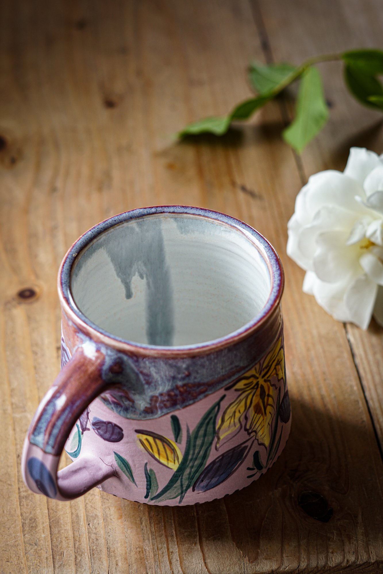 mug-iris-6.JPG