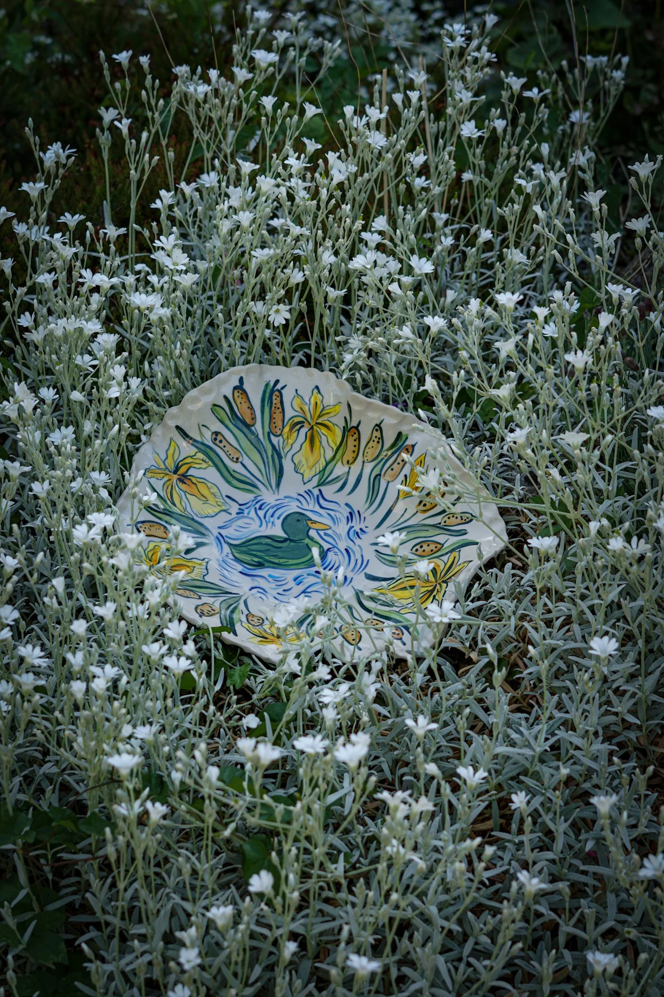 Medium Wave Dish - Duck
