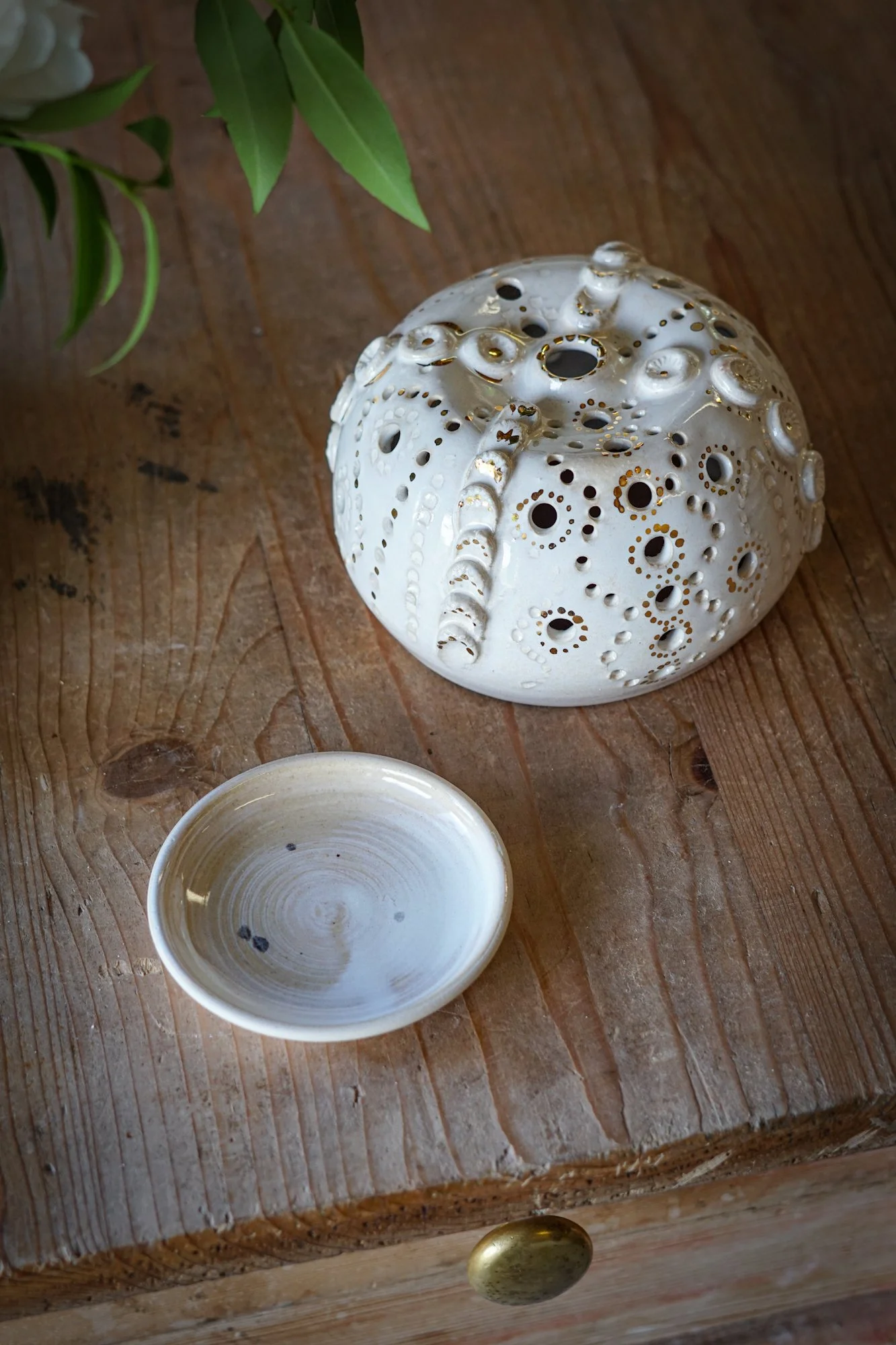urchin white-01.JPG