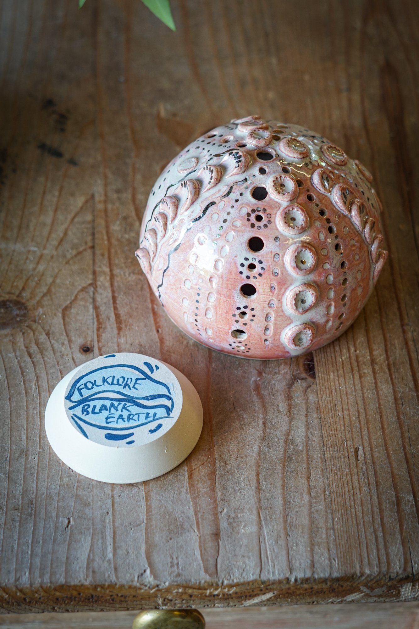 urchin shell-02.JPG