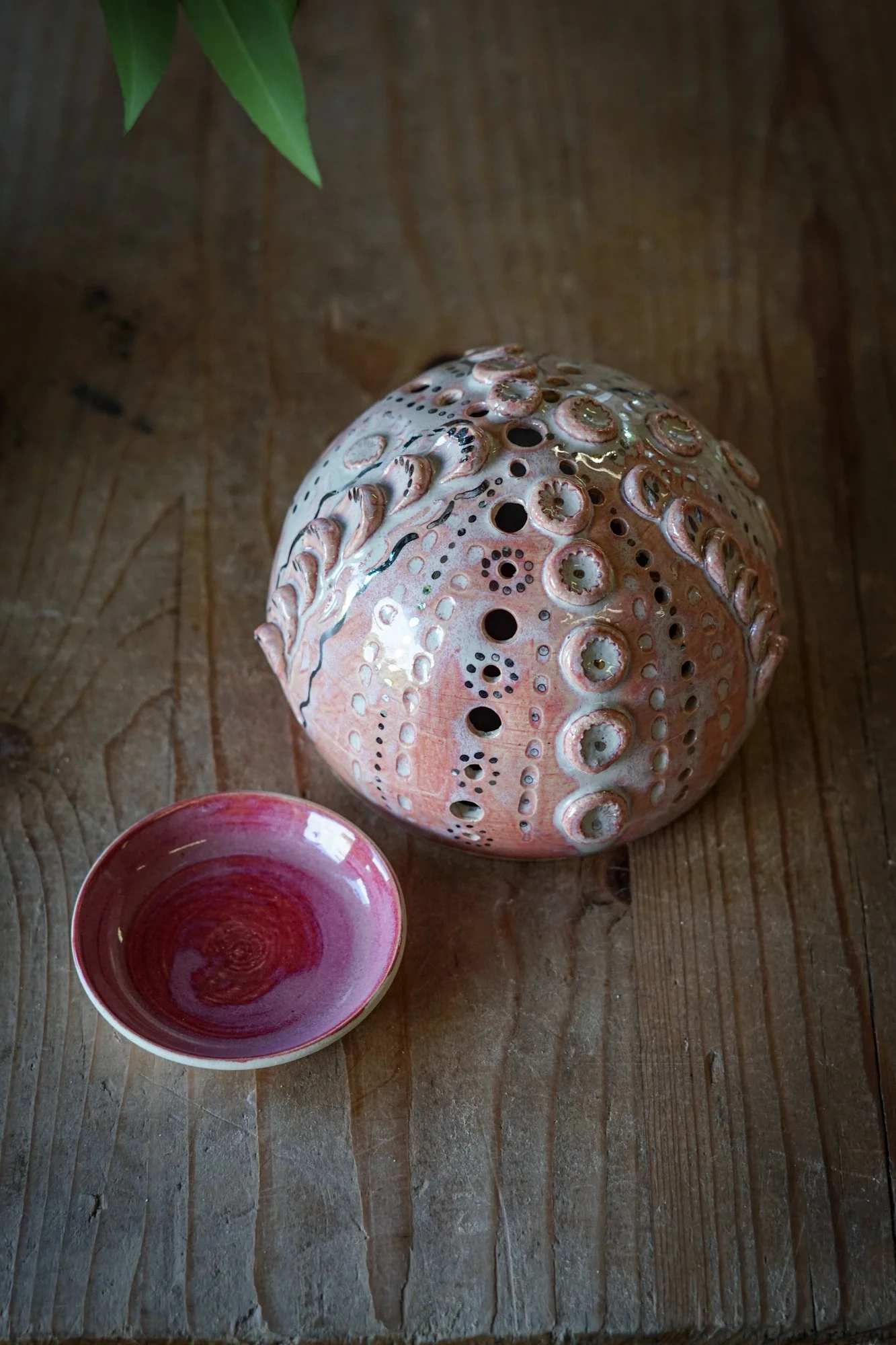urchin shell-01.JPG