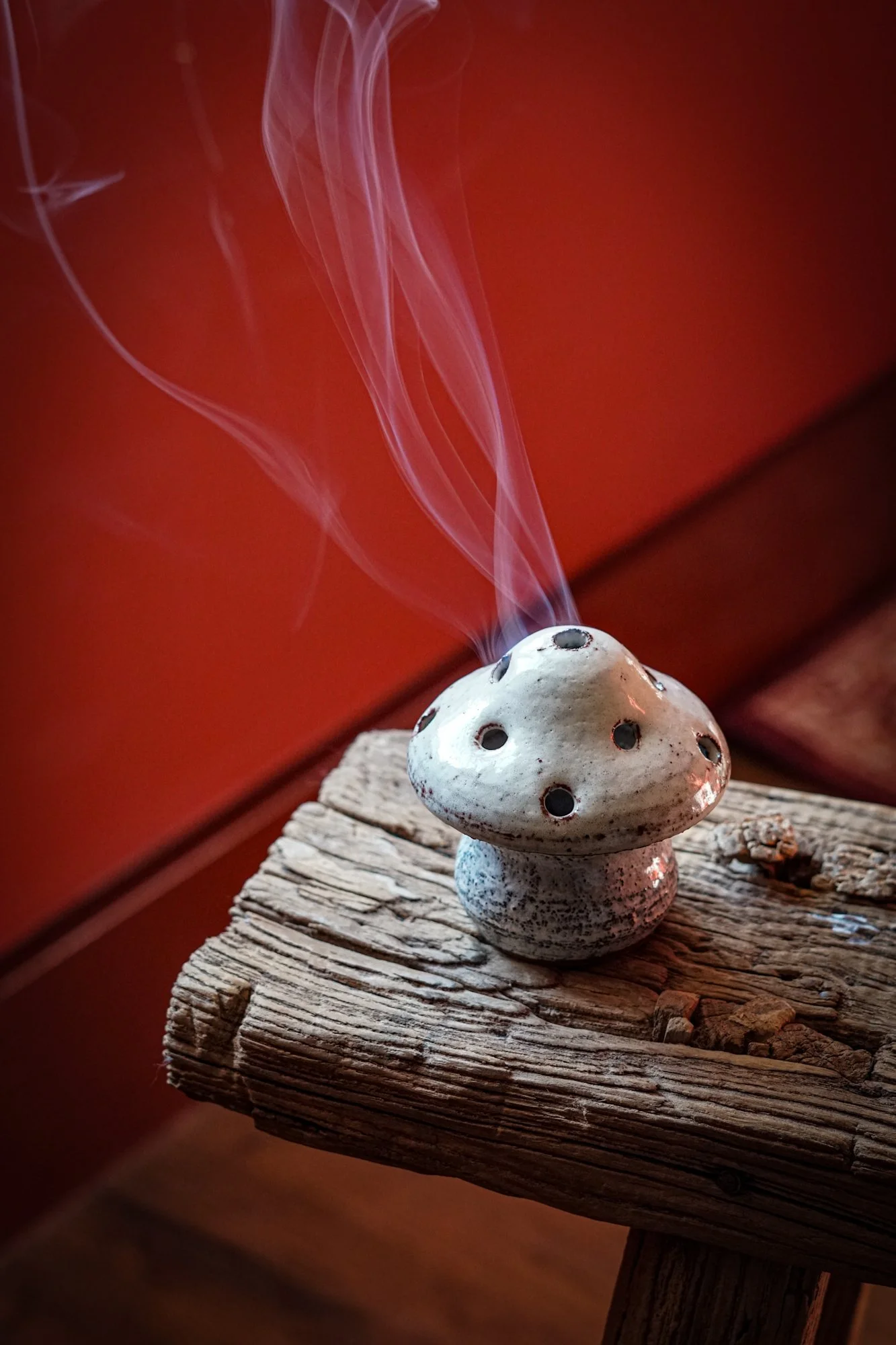 incense-mushroom-shino-09.JPG