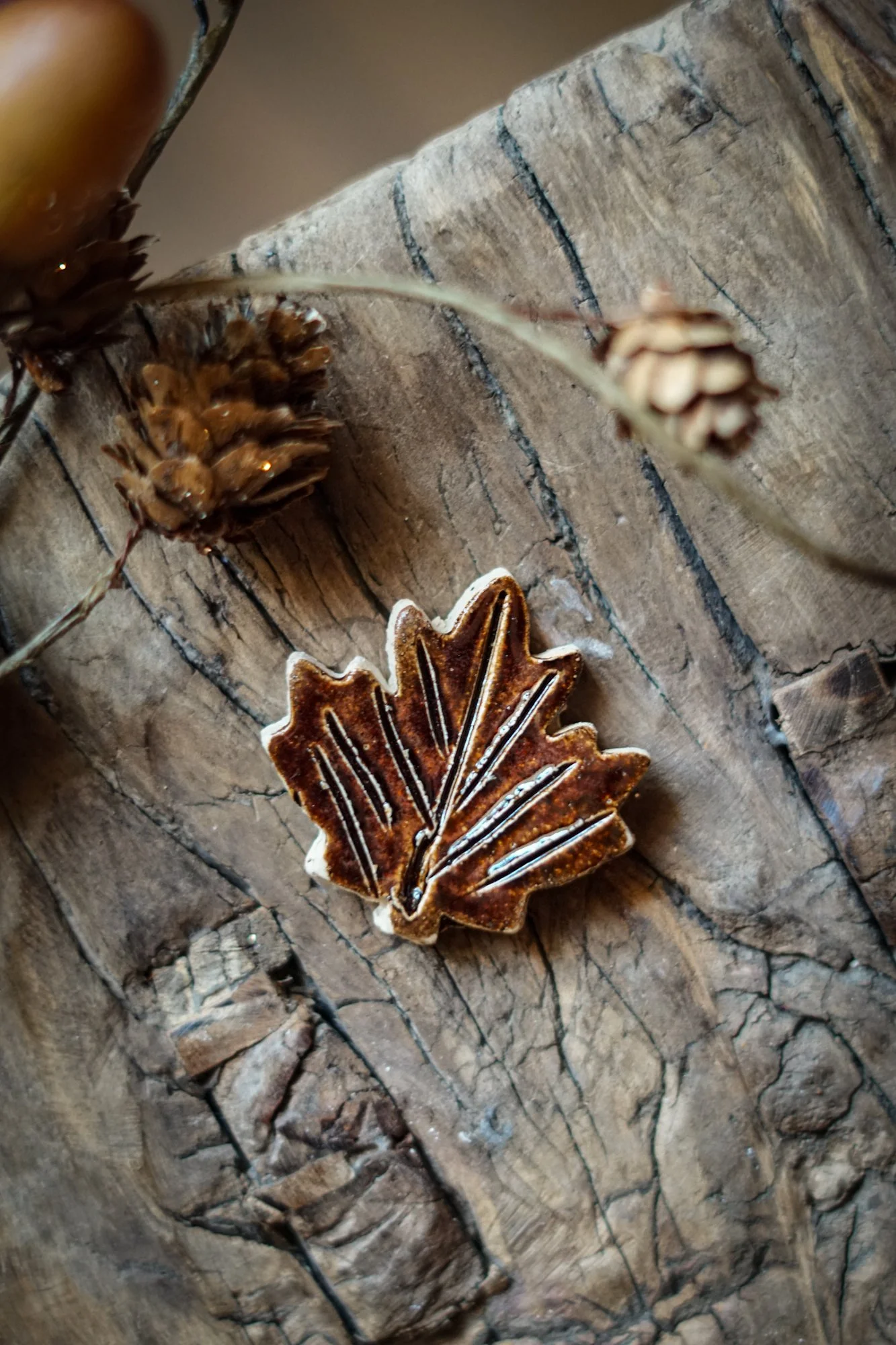 maple-leaf-2.JPG