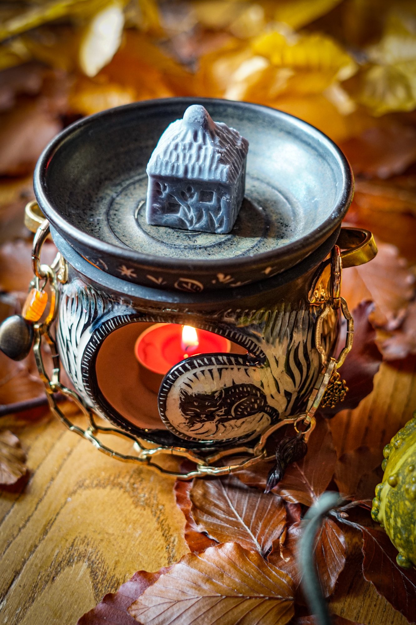 BlankEarth-cauldron-cat-15.JPG