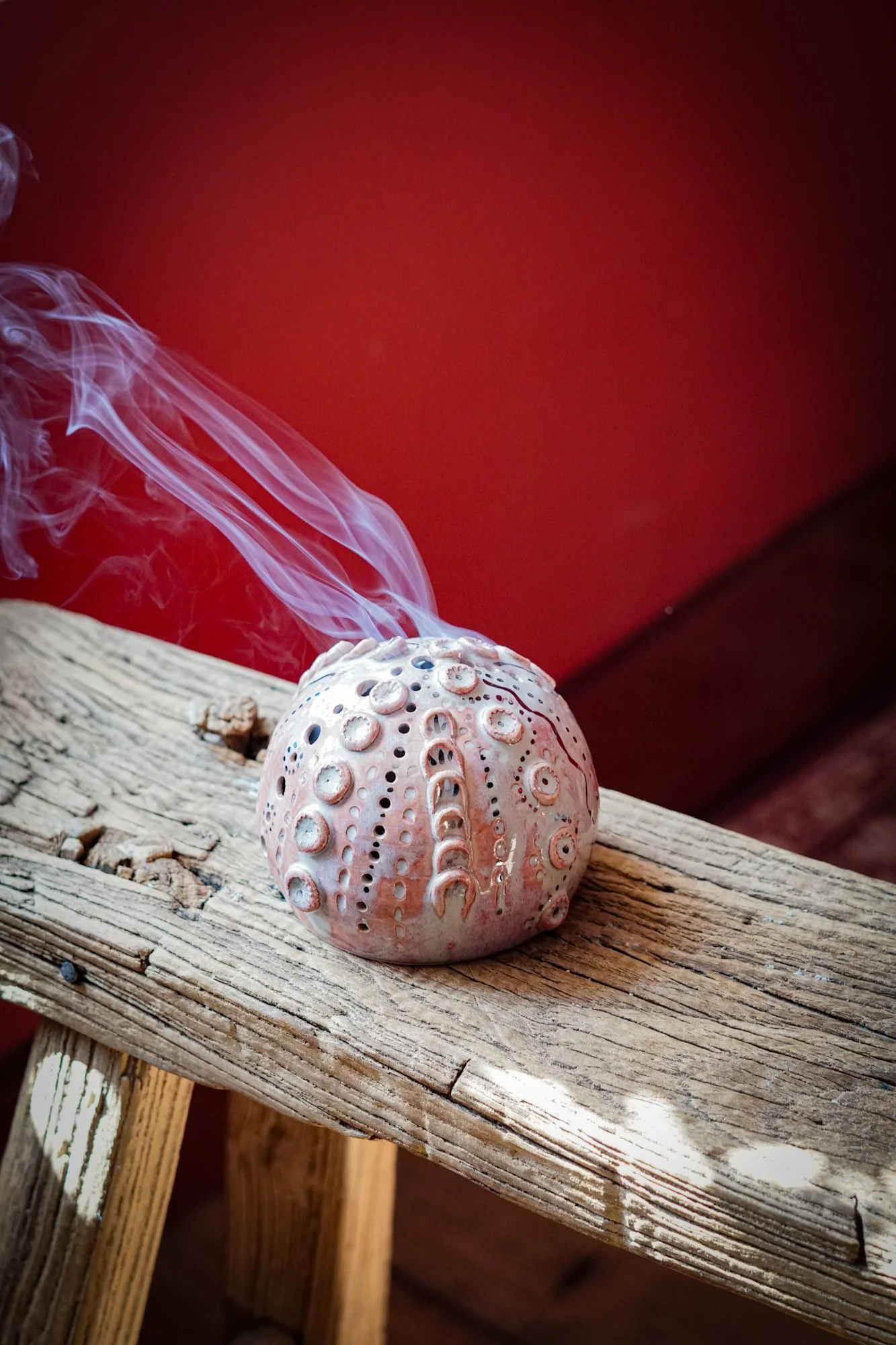 urchin shell-08.JPG