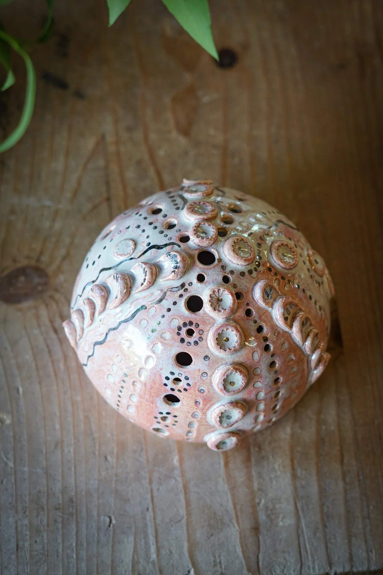 urchin shell-03.JPG