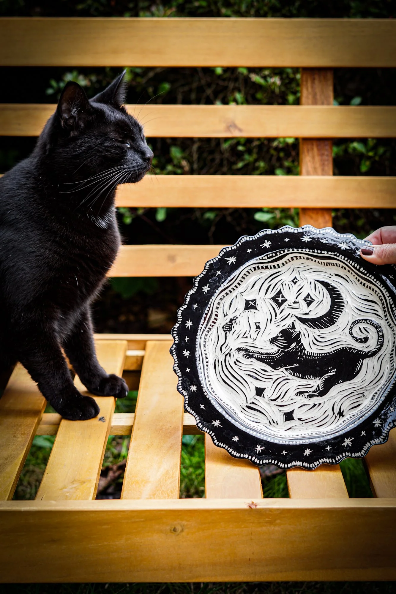 BlankEarth-plate-cat-2.JPG