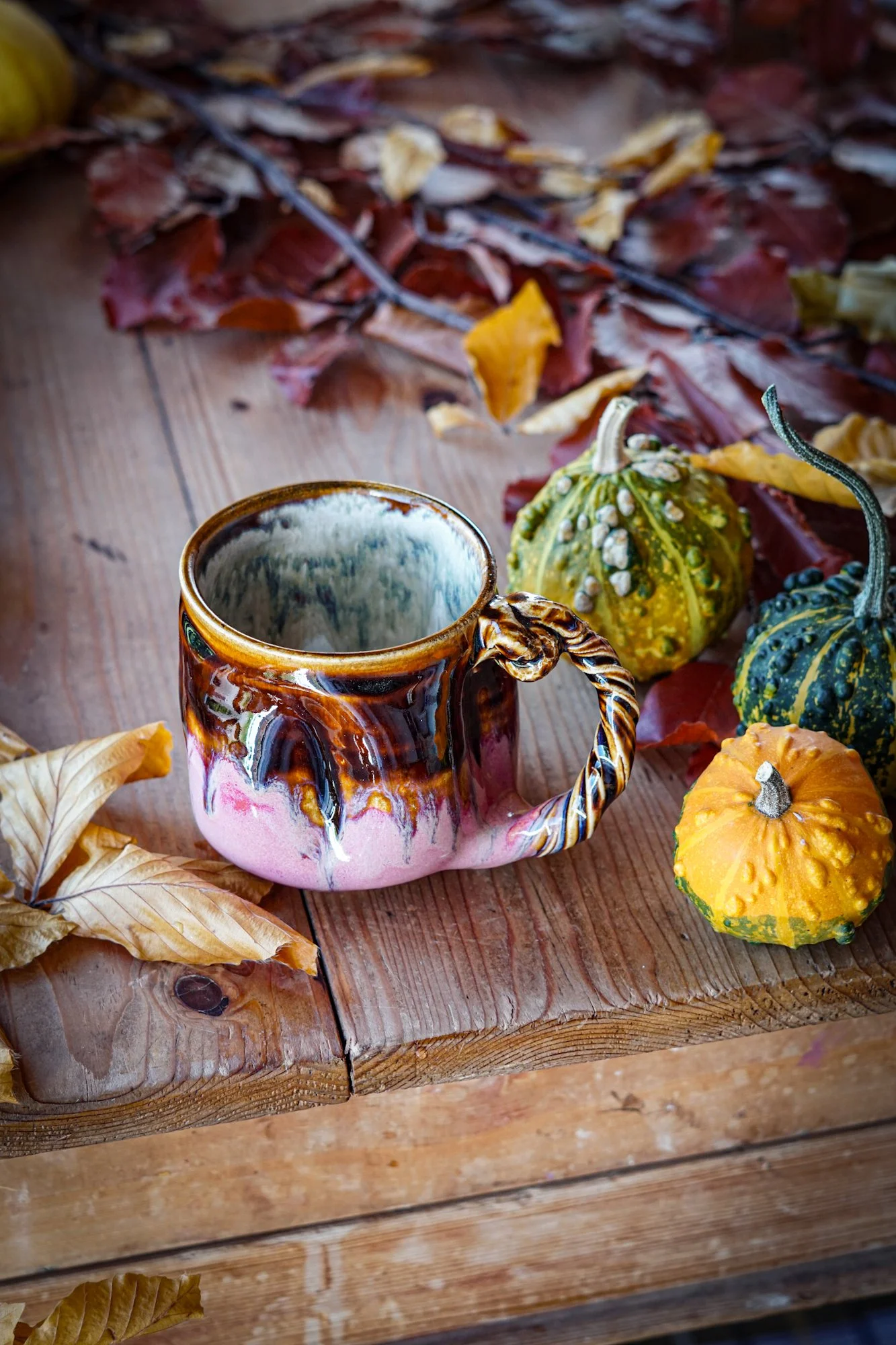 BlankEarth-pumpkin-mug-pink-2.JPG