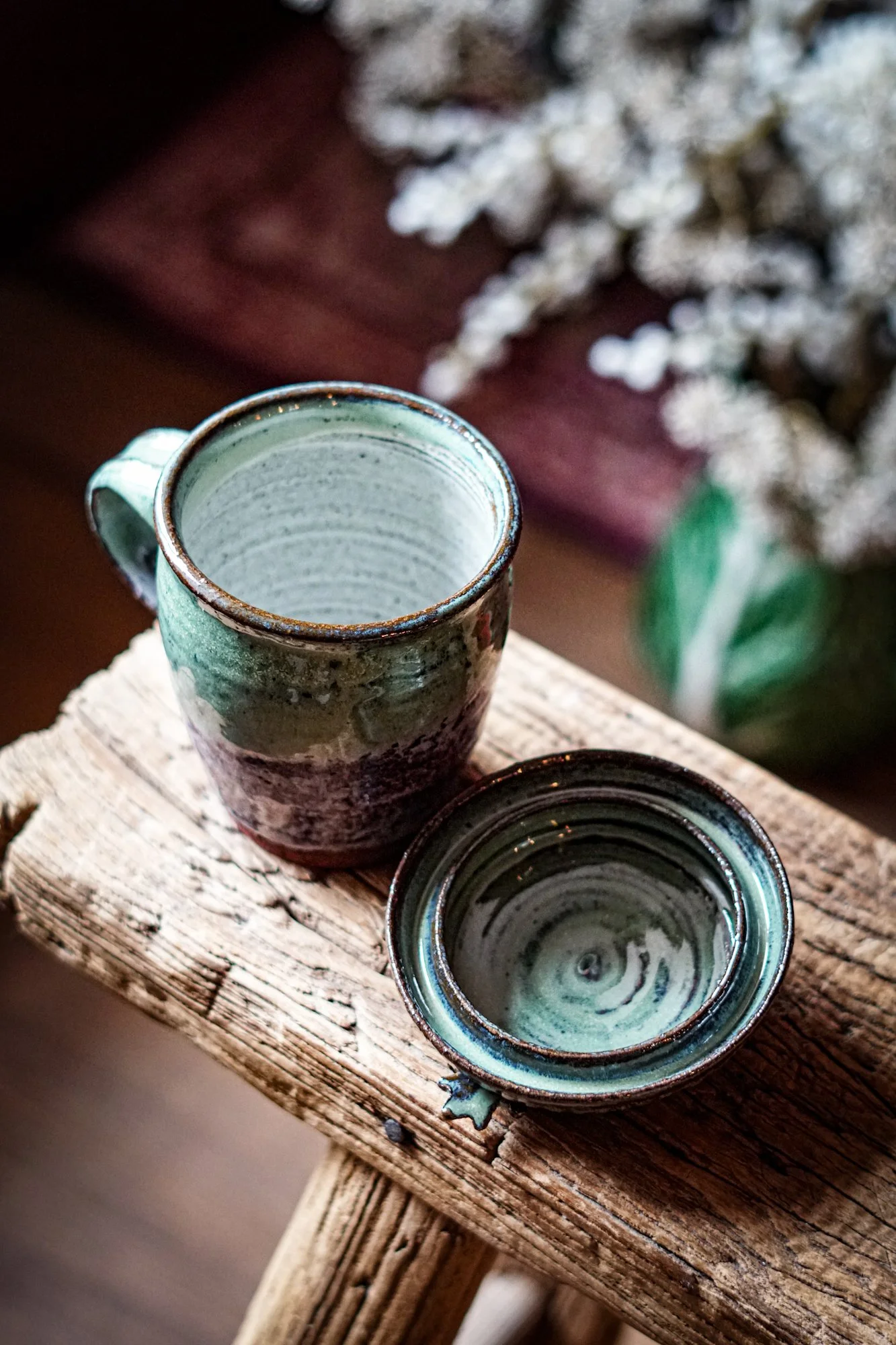 acorn green purple-08.JPG