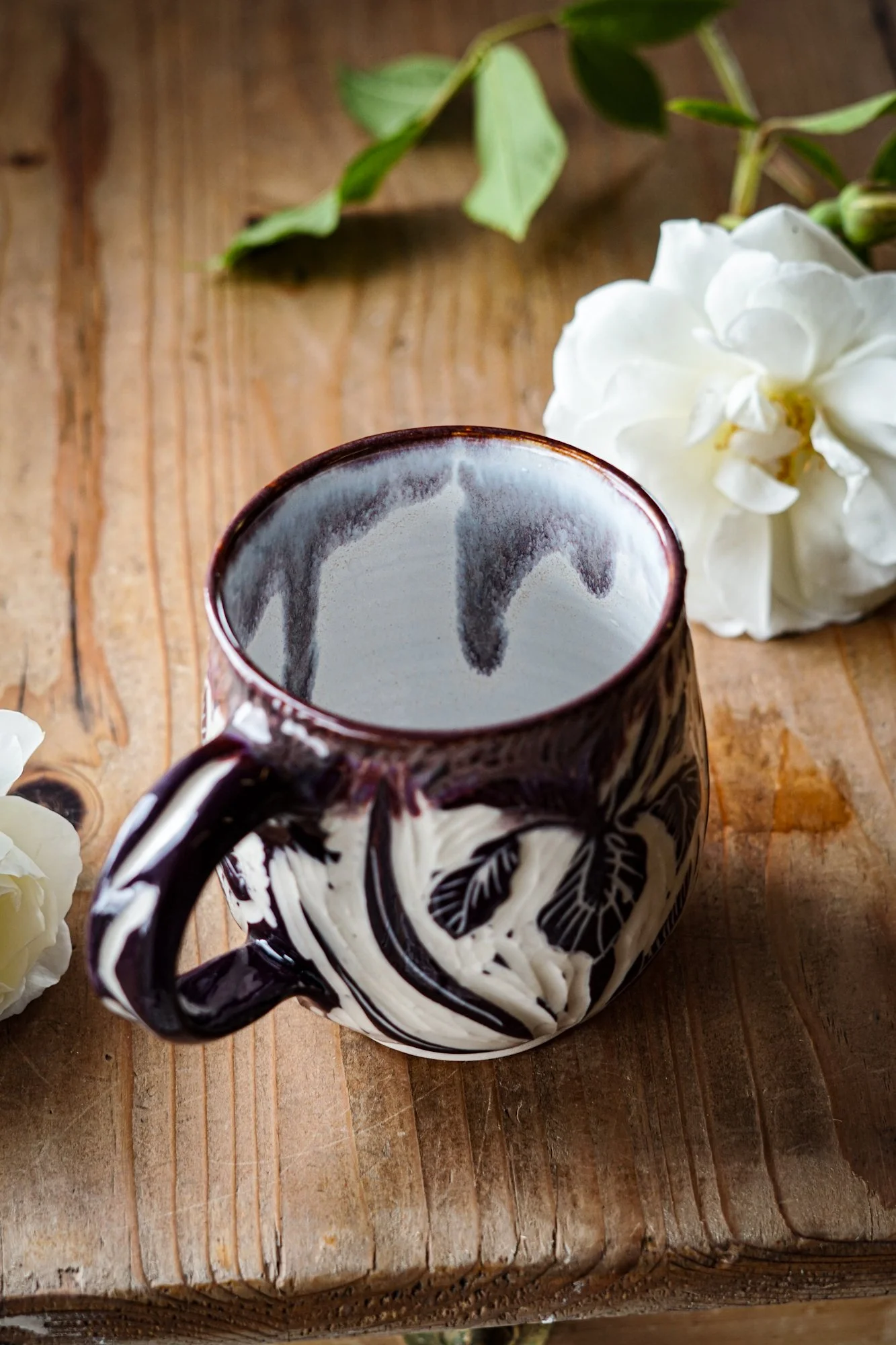mug-iris-8.JPG