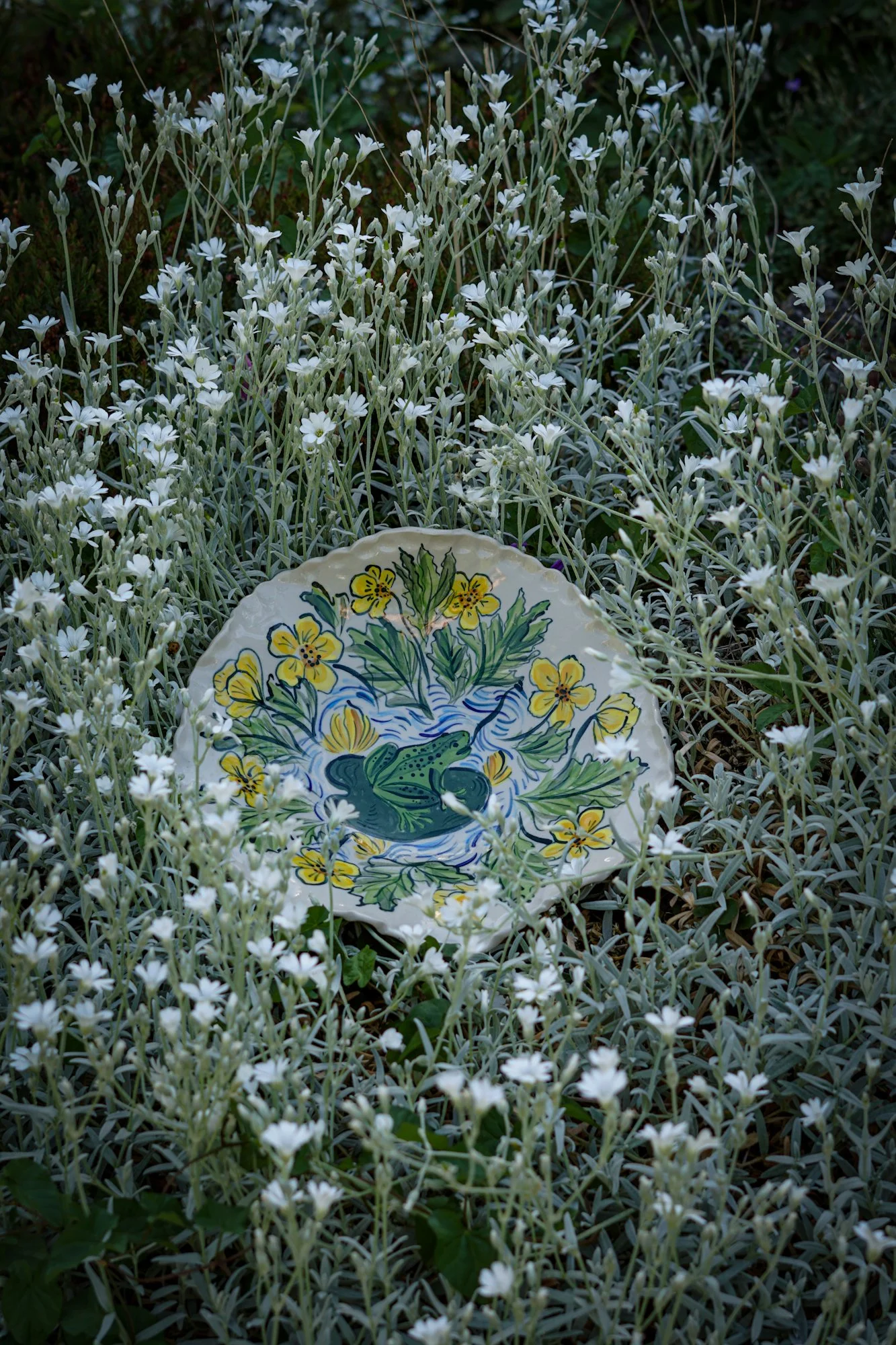 Medium Wave Dish - Frog