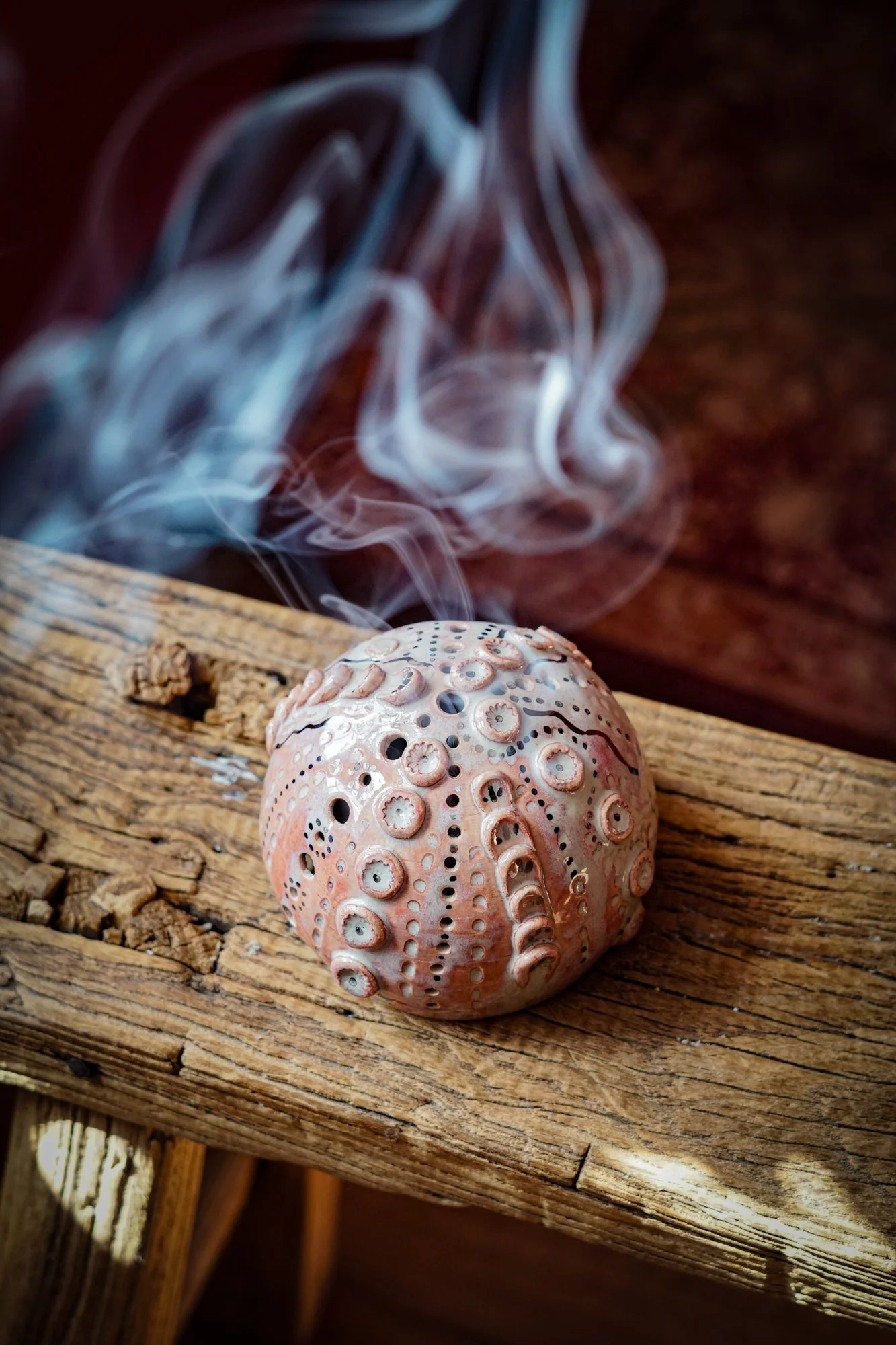 Sea Urchin - Gilded Shell